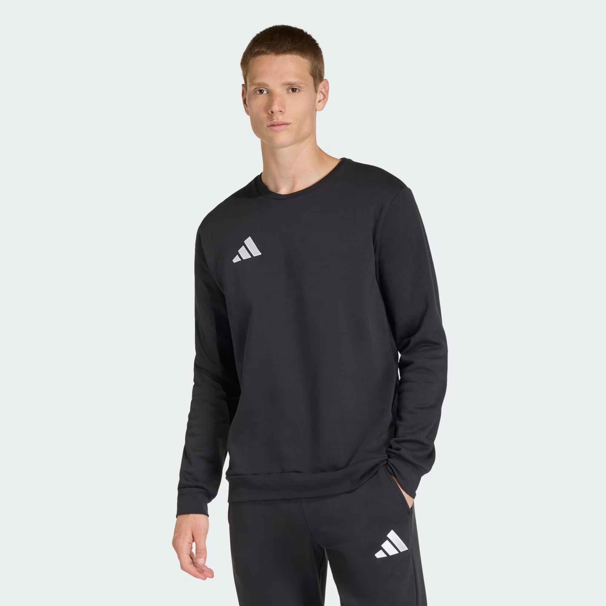 adidas Entrada26 Erkek Sweatshirt