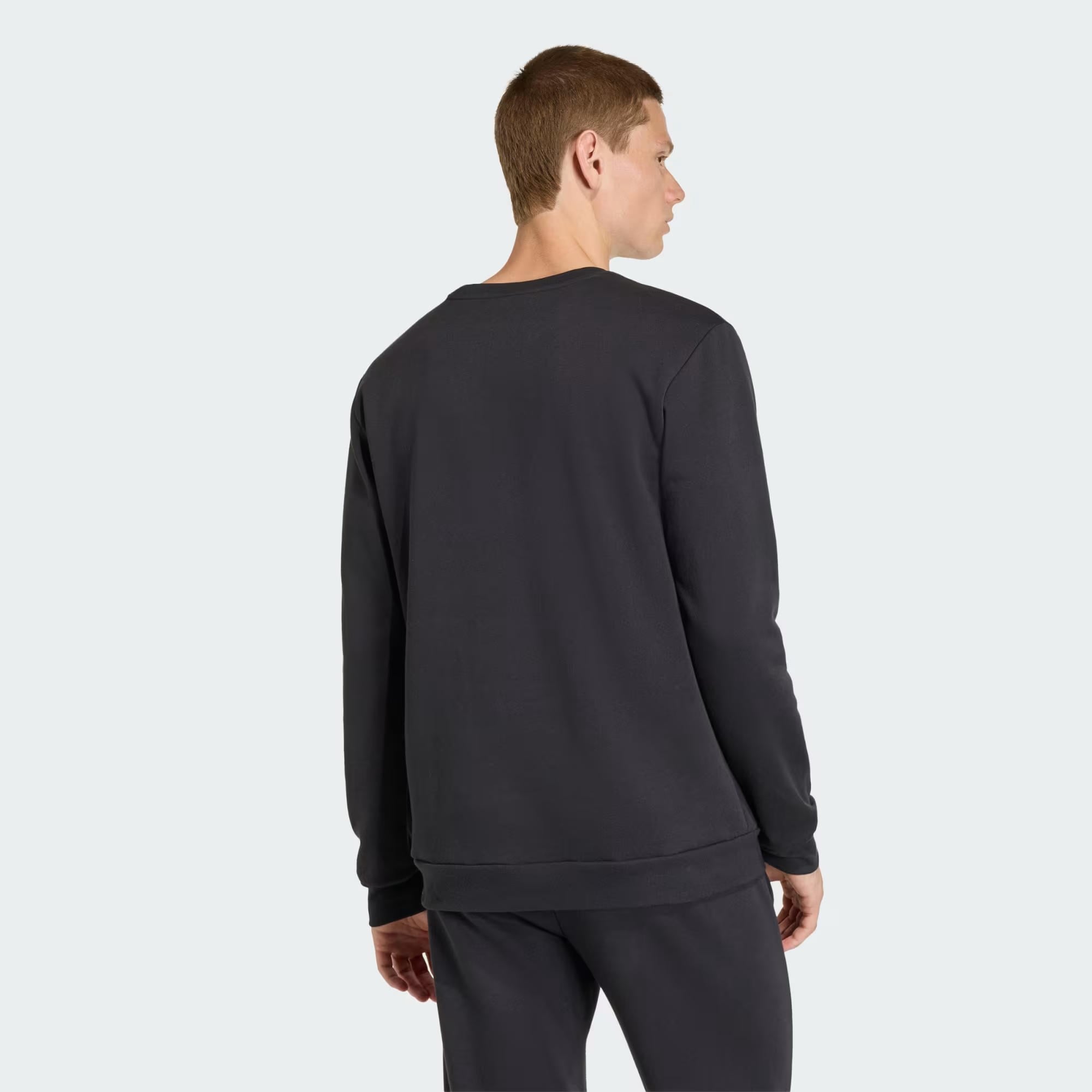 adidas Entrada26 Erkek Sweatshirt