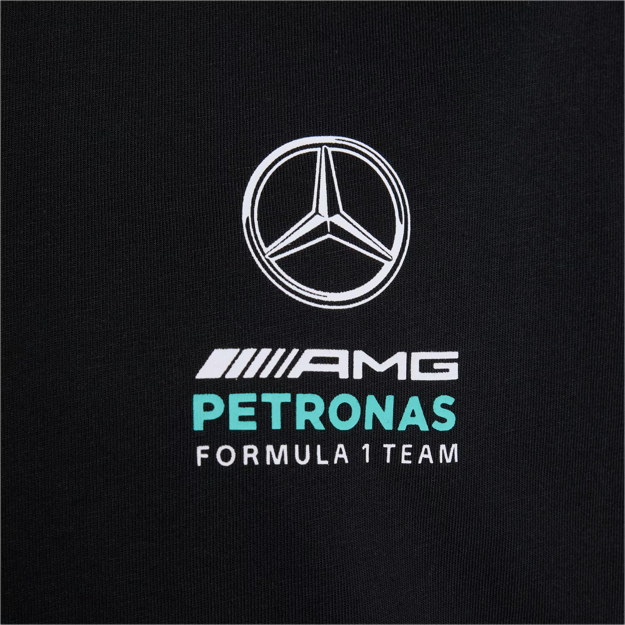 adidas Mercedes Amg Petronas Formula 1 Team Dna Çocuk Tişört