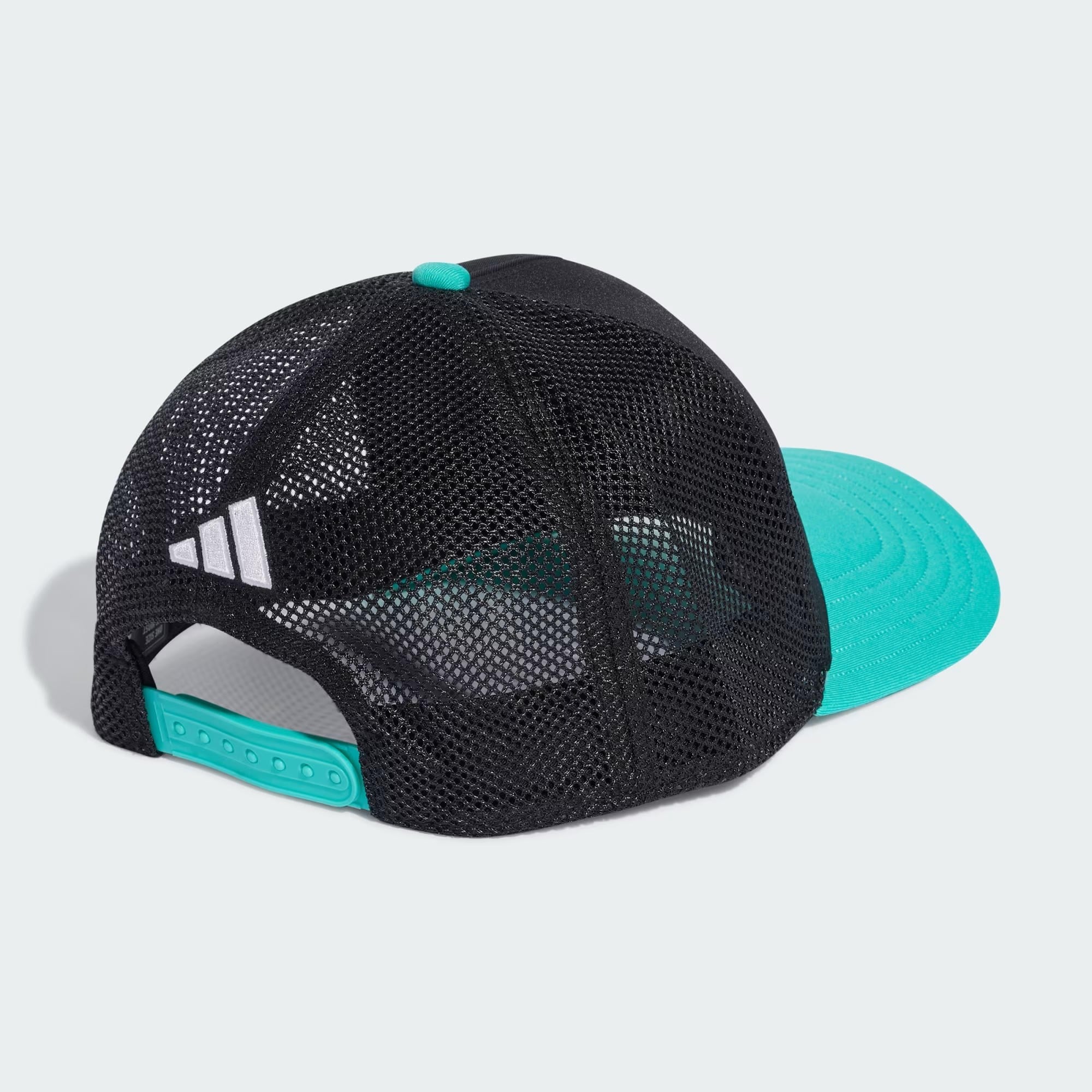 adidas Mercedes Amg Petronas Formula 1 Team DNA Şapka