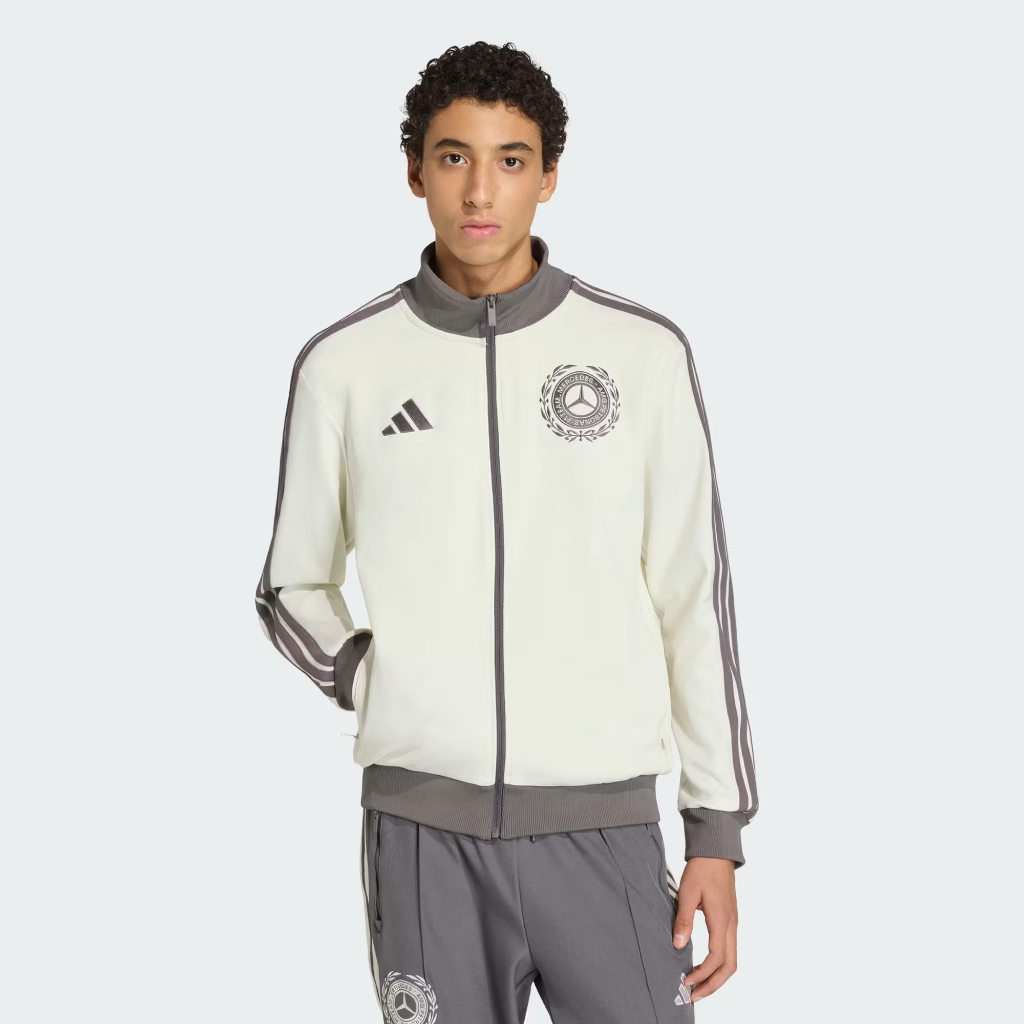 adidas Mercedes Amg Petronas Formula 1 Team Silver Arrows Icon Erkek Sweatshirt