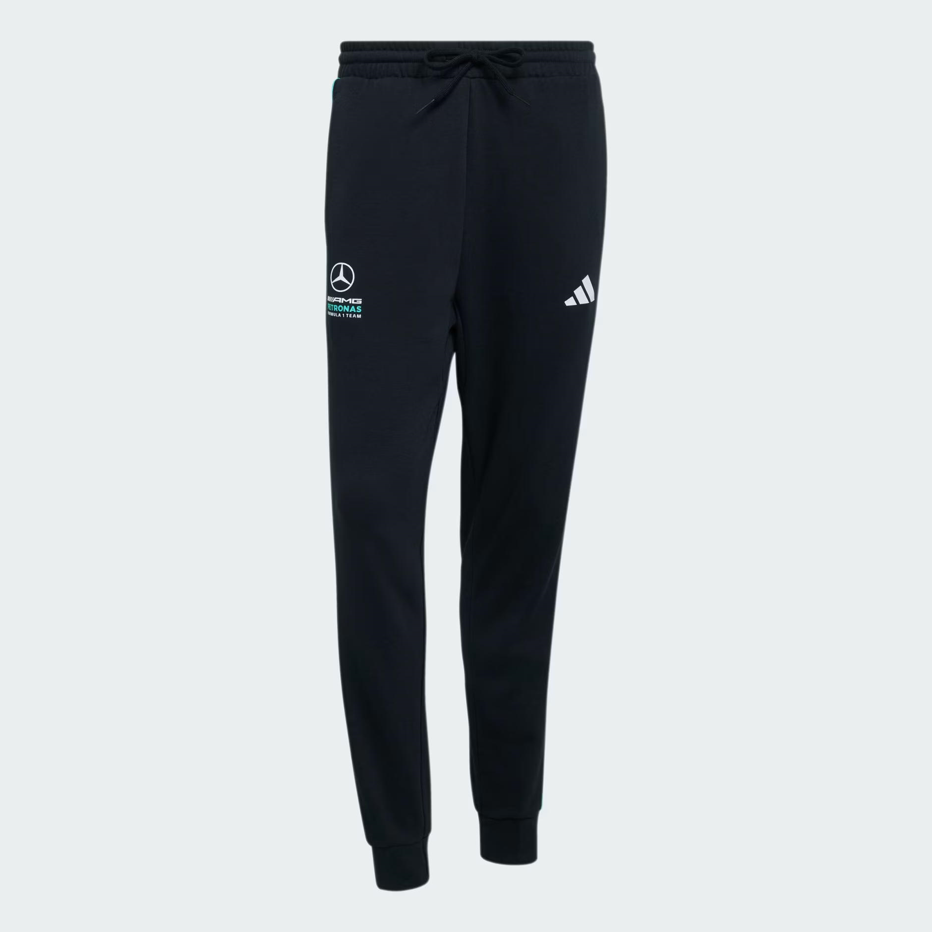 adidas Mercedes AMG Petronas Formula 1 Team Dna Erkek Eşofman Altı