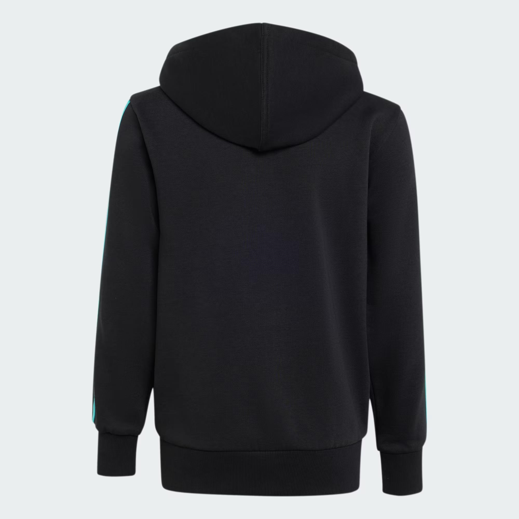 adidas Mercedes AMG Petronas Formula 1 Team DNA Çocuk Sweatshirt