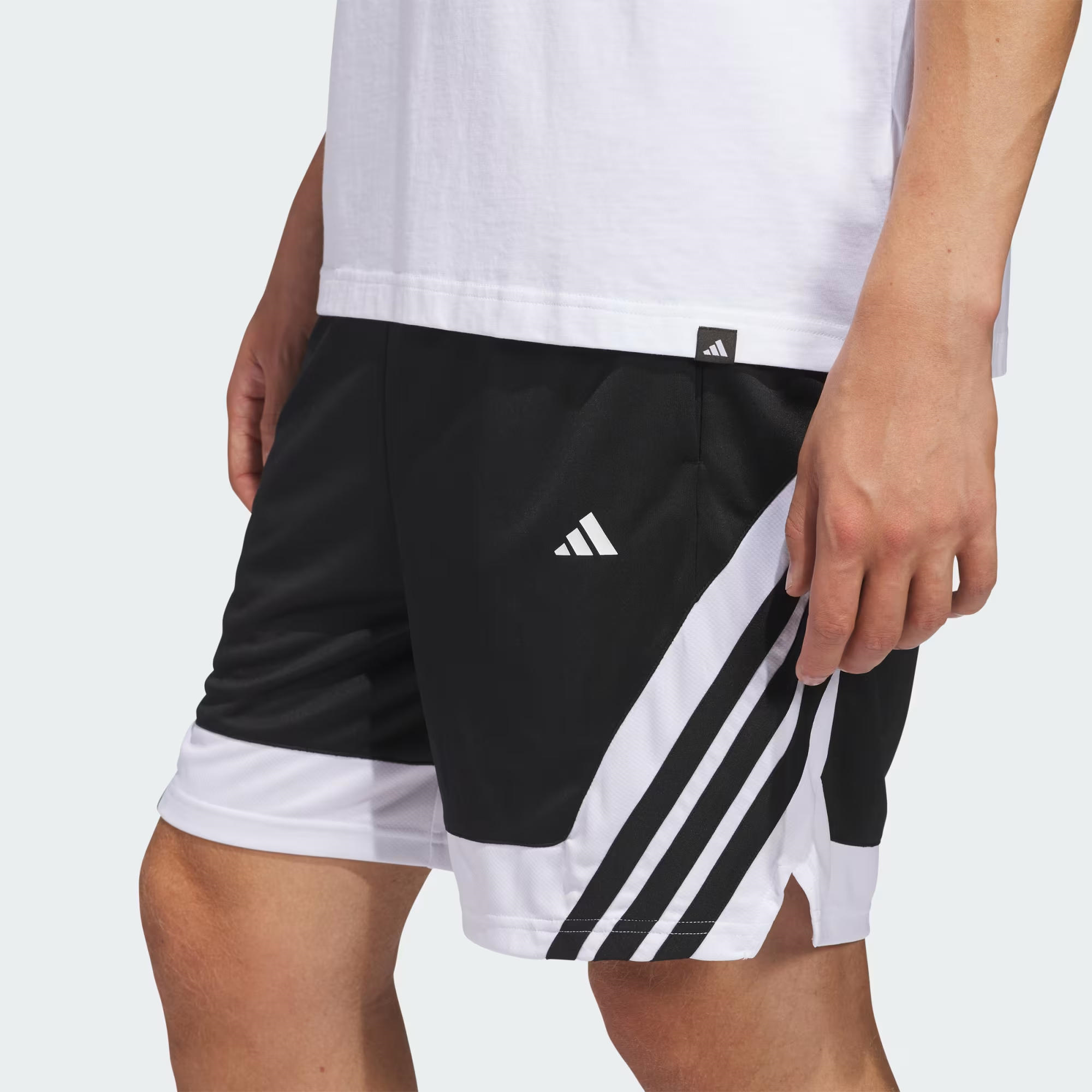 adidas Pro Motion Erkek Şort