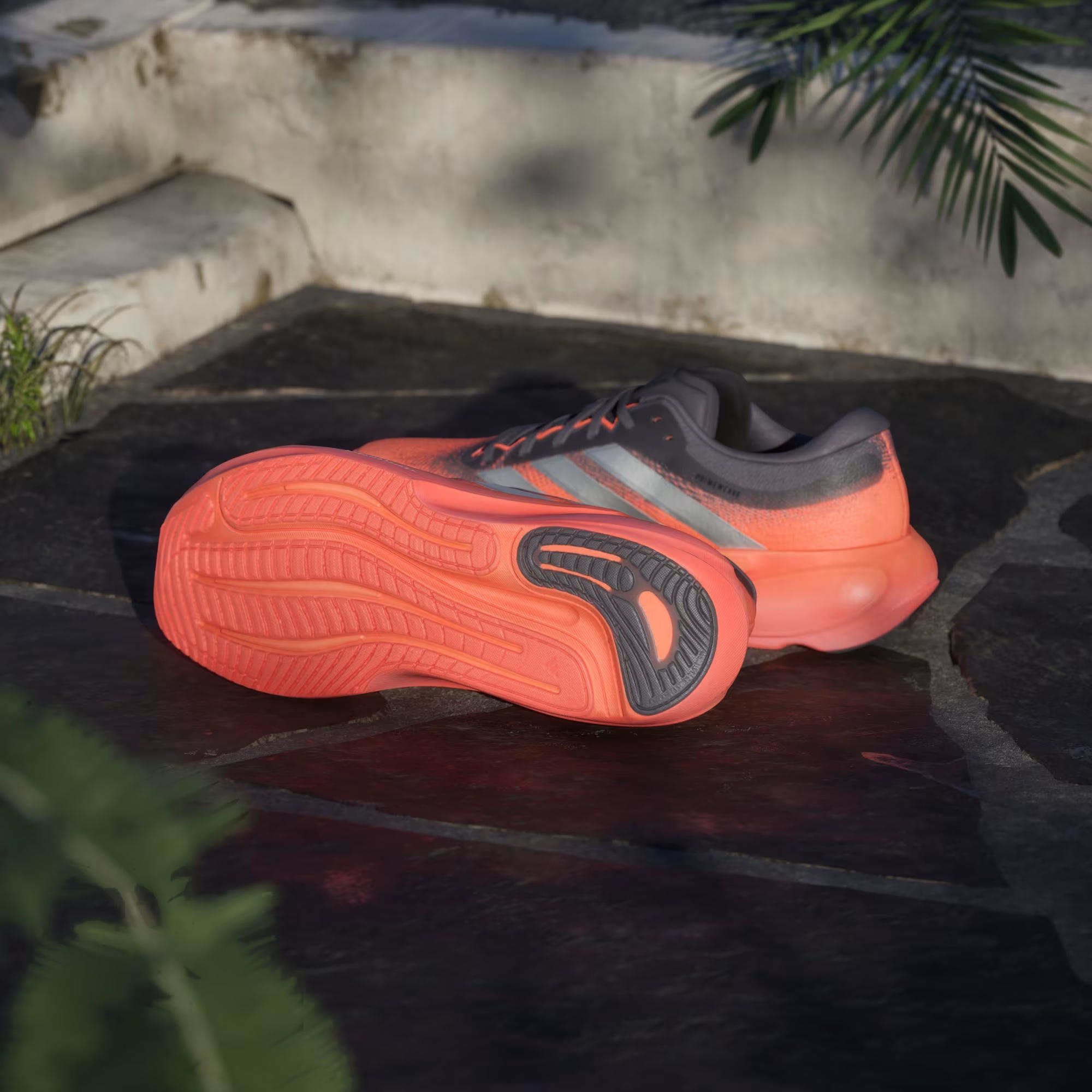 adidas Supernova Rise 3 Erkek Koşu Ayakkabısı