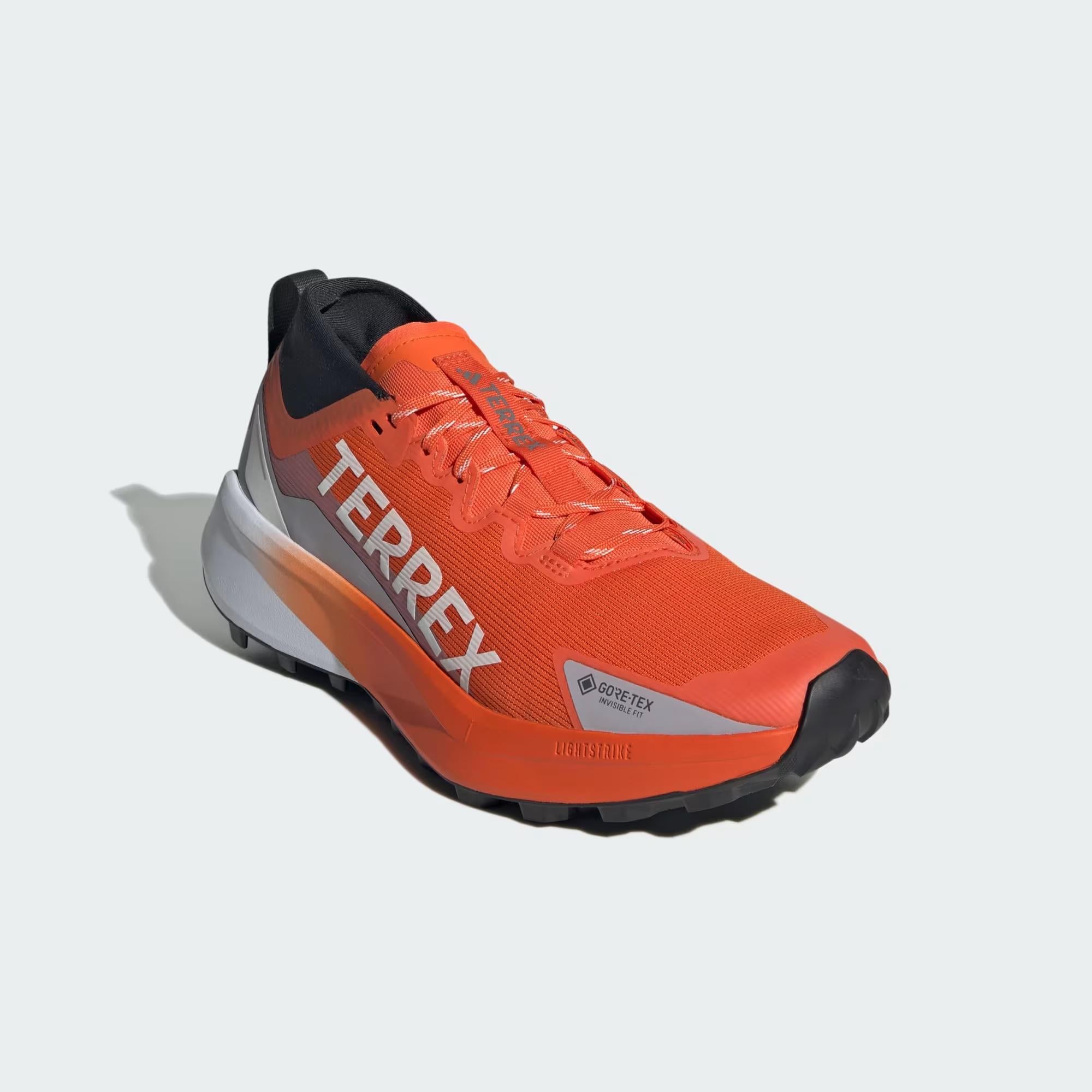 adidas Terrex Agravic GTX Erkek Koşu Ayakkabısı