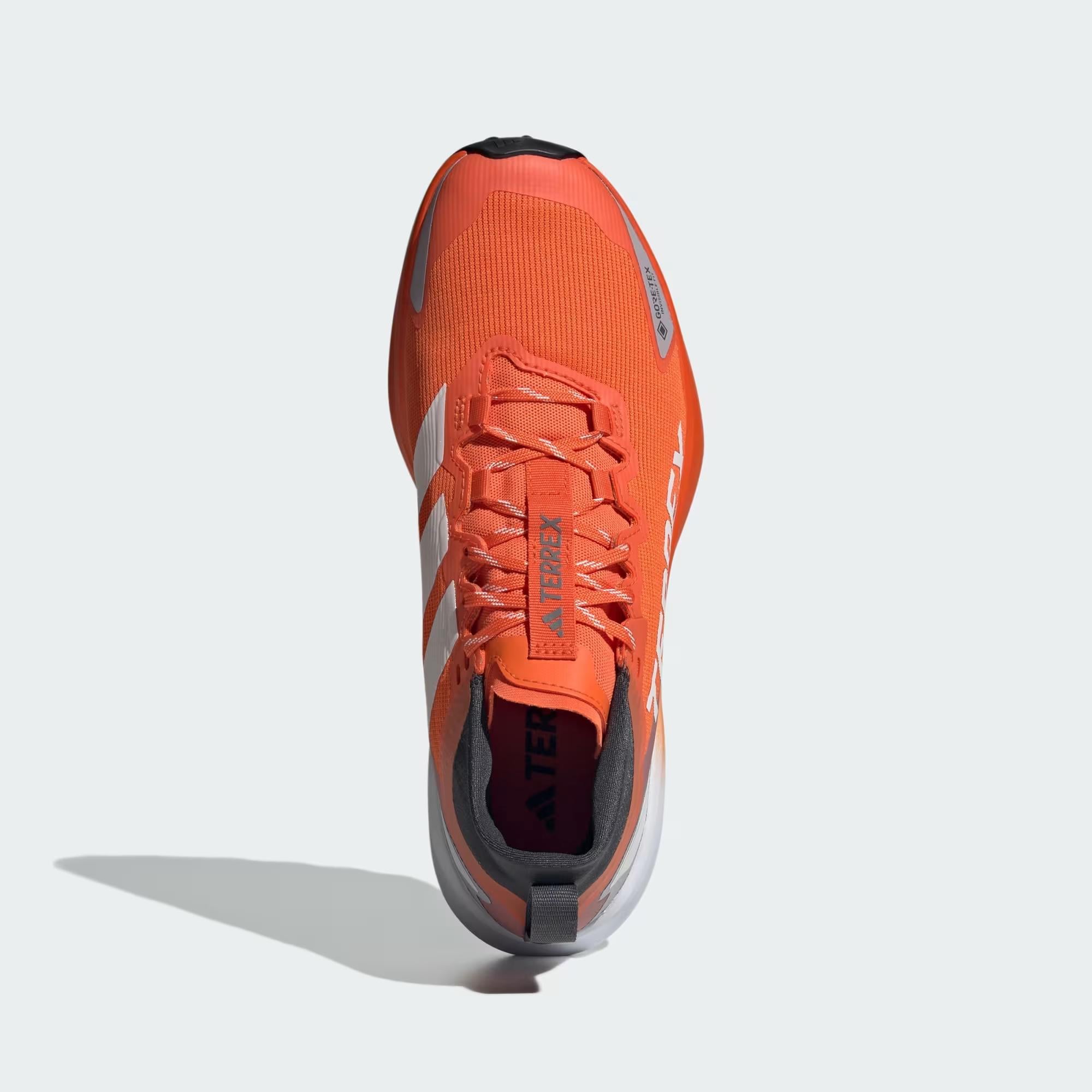 adidas Terrex Agravic GTX Erkek Koşu Ayakkabısı