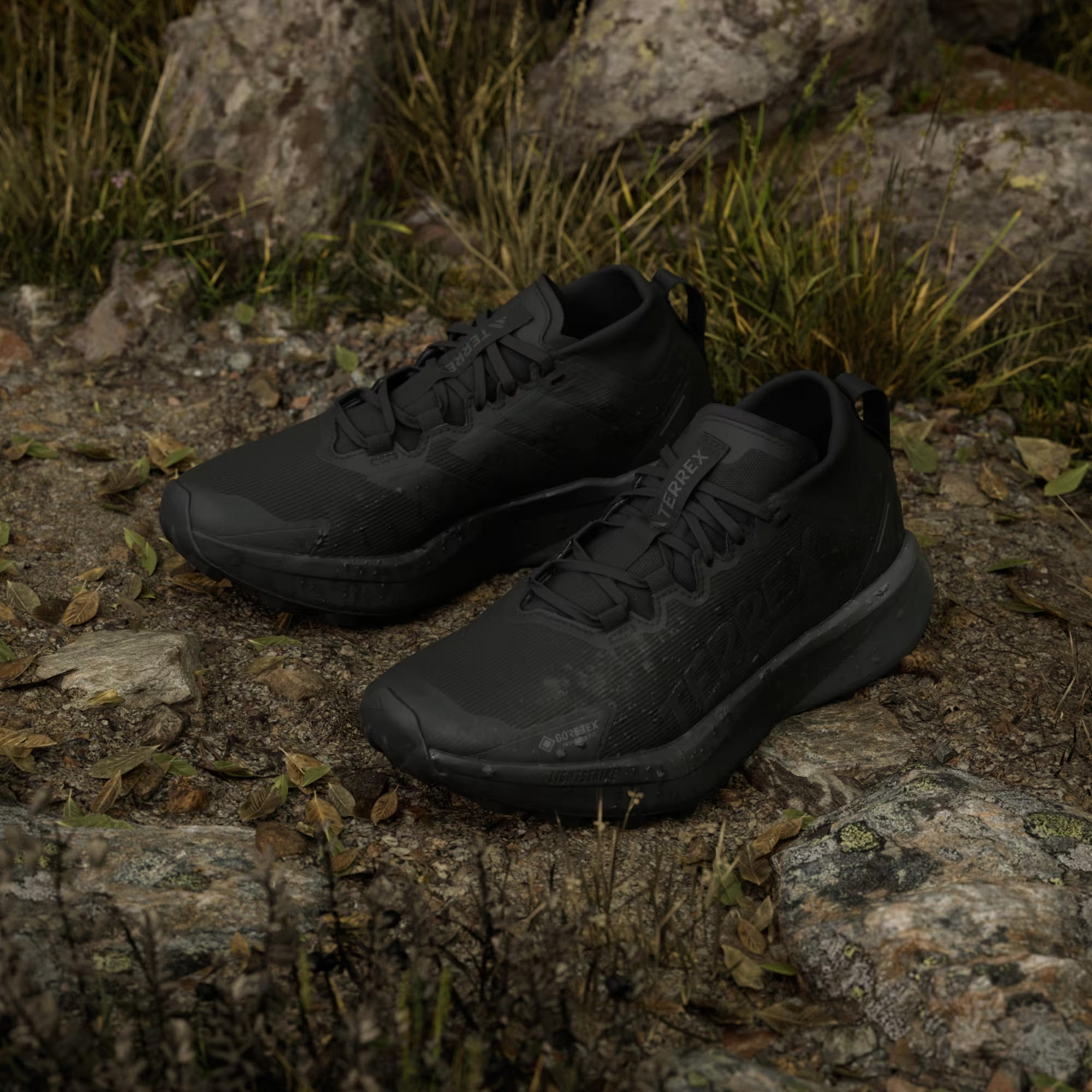 adidas Terrex Agravic GTX Trail Kadın Koşu Ayakkabısı