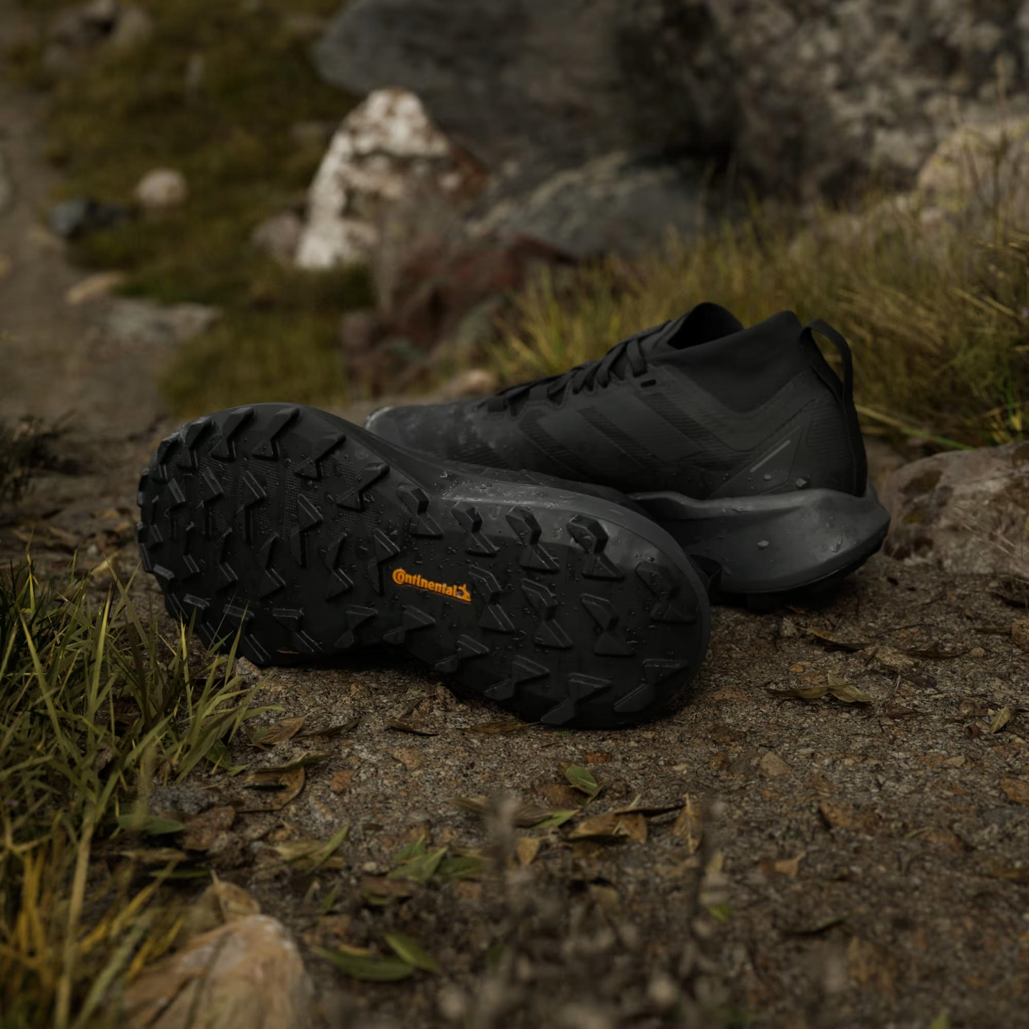 adidas Terrex Agravic GTX Trail Kadın Koşu Ayakkabısı