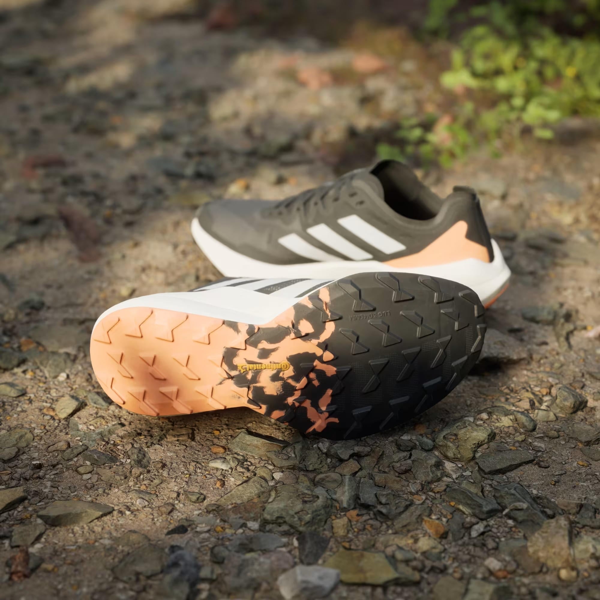 adidas Terrex Agravic Speed Kadın Koşu Ayakkabısı