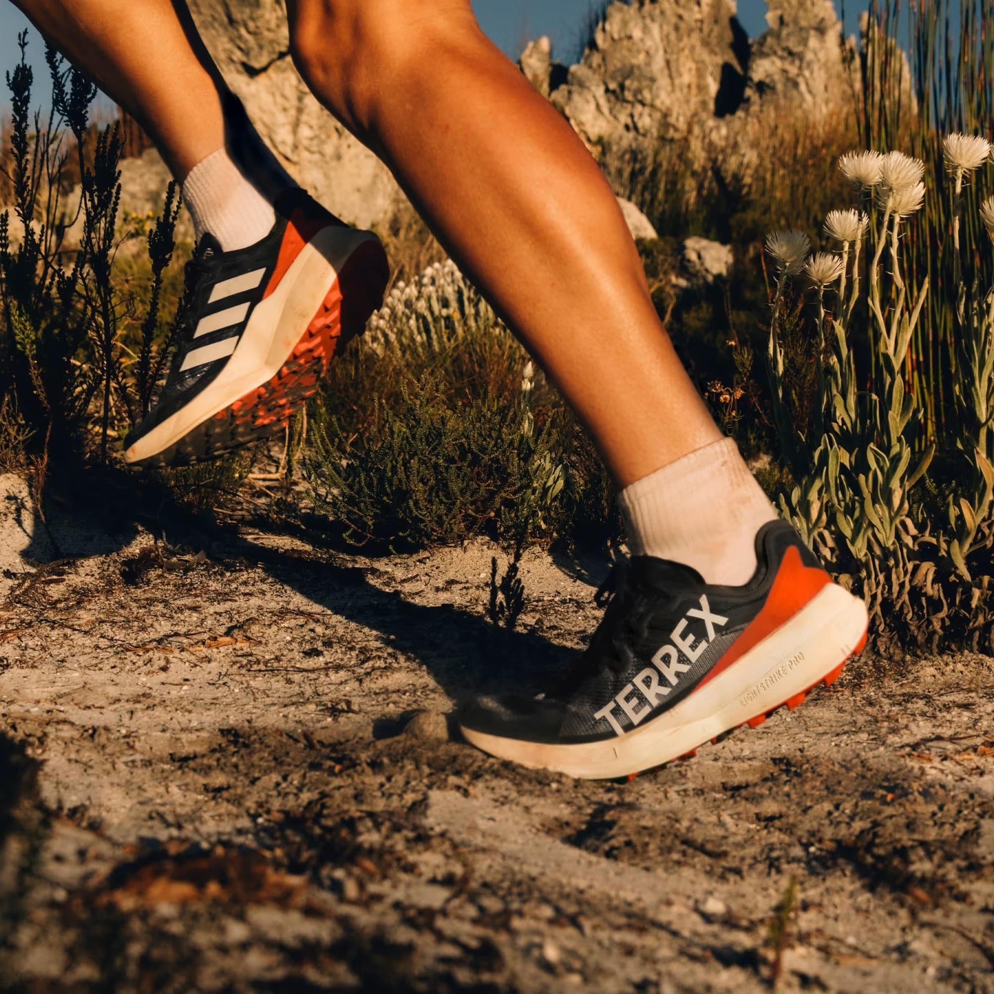 adidas Terrex Agravic Speed Kadın Koşu Ayakkabısı