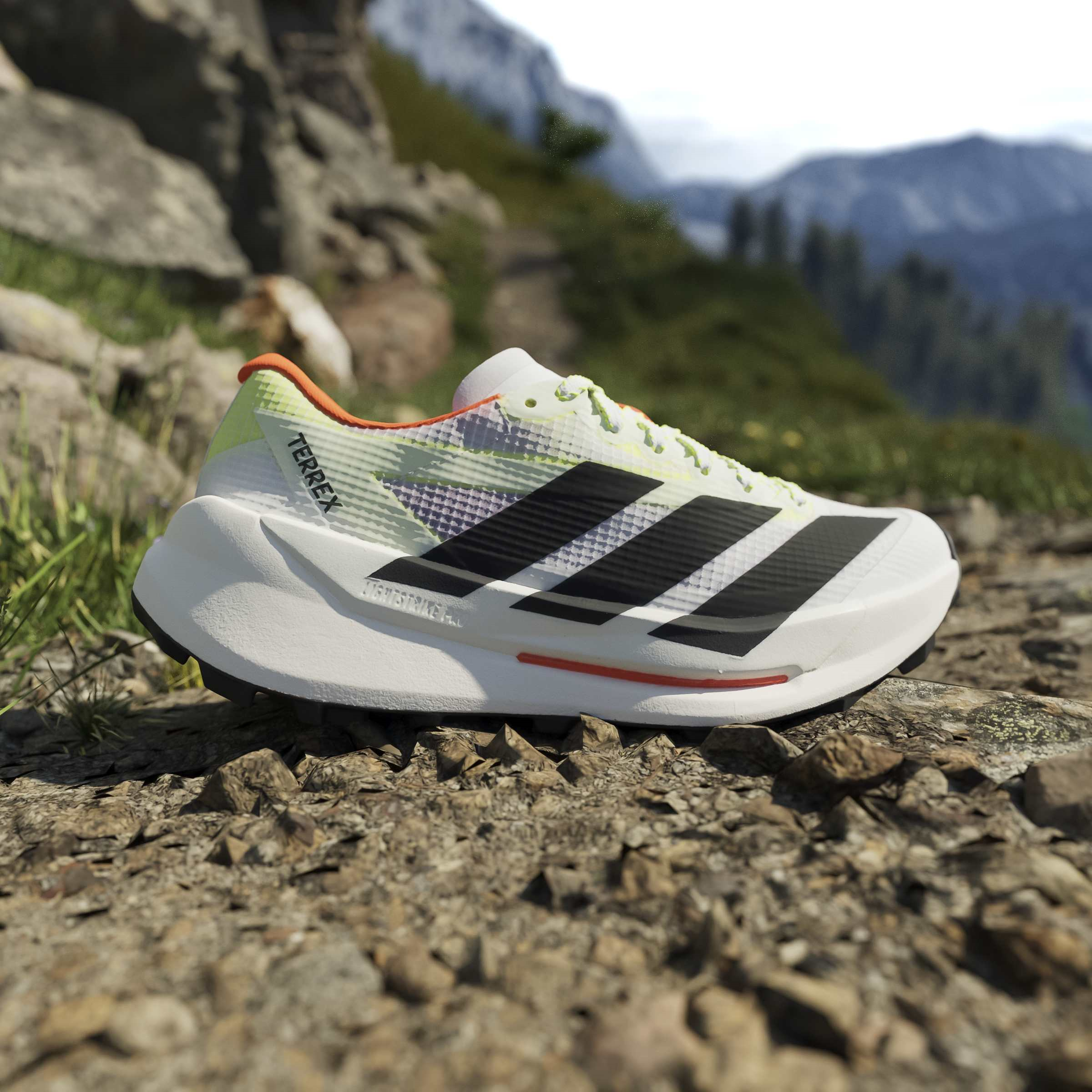 adidas Terrex Agravic TT Erkek Koşu Ayakkabısı