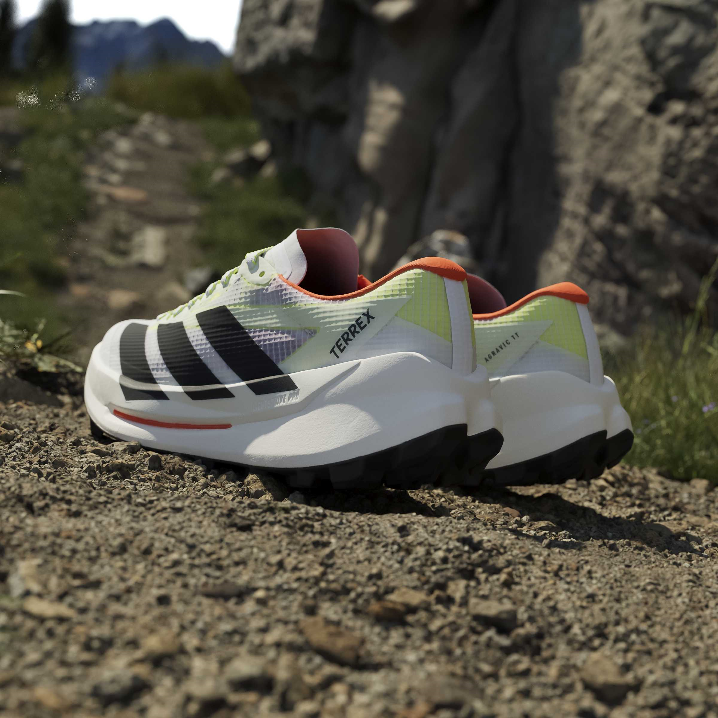 adidas Terrex Agravic TT Erkek Koşu Ayakkabısı