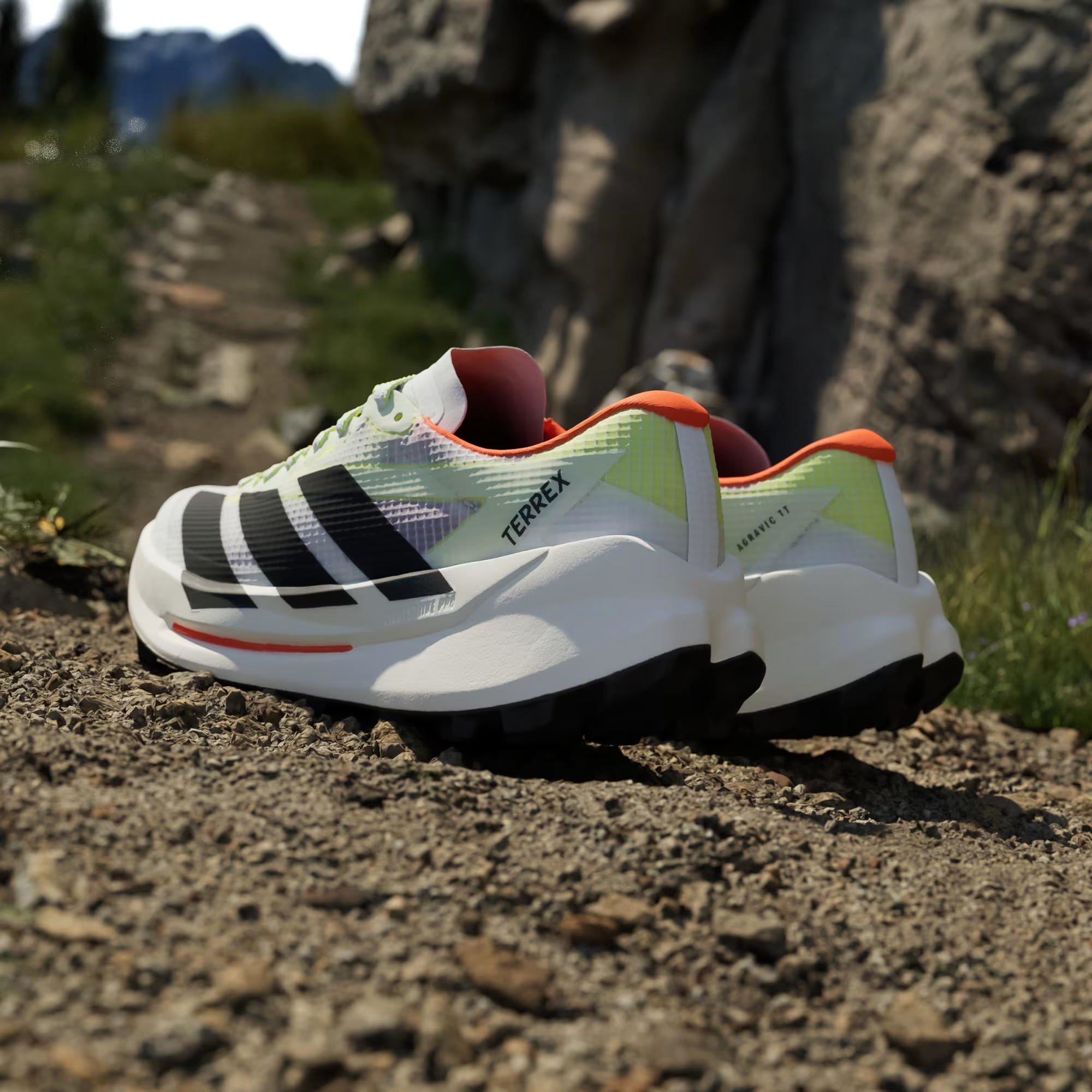 adidas Terrex Agravic TT Kadın Koşu Ayakkabısı