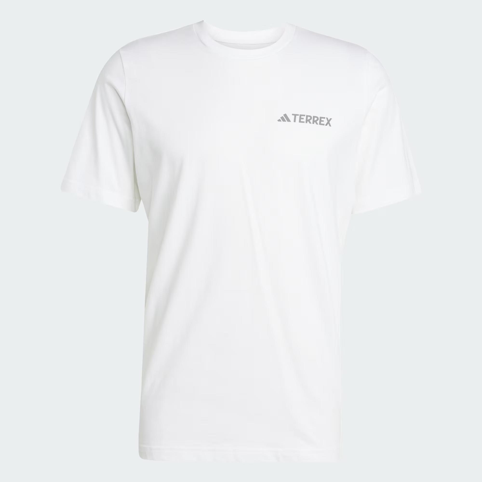 adidas Terrex Graphic Erkek Tişört