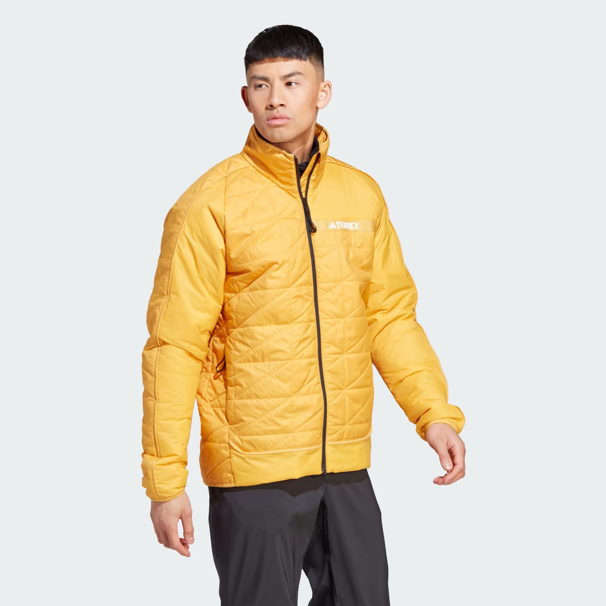 adidas Terrex Multi Insulation Erkek Mont