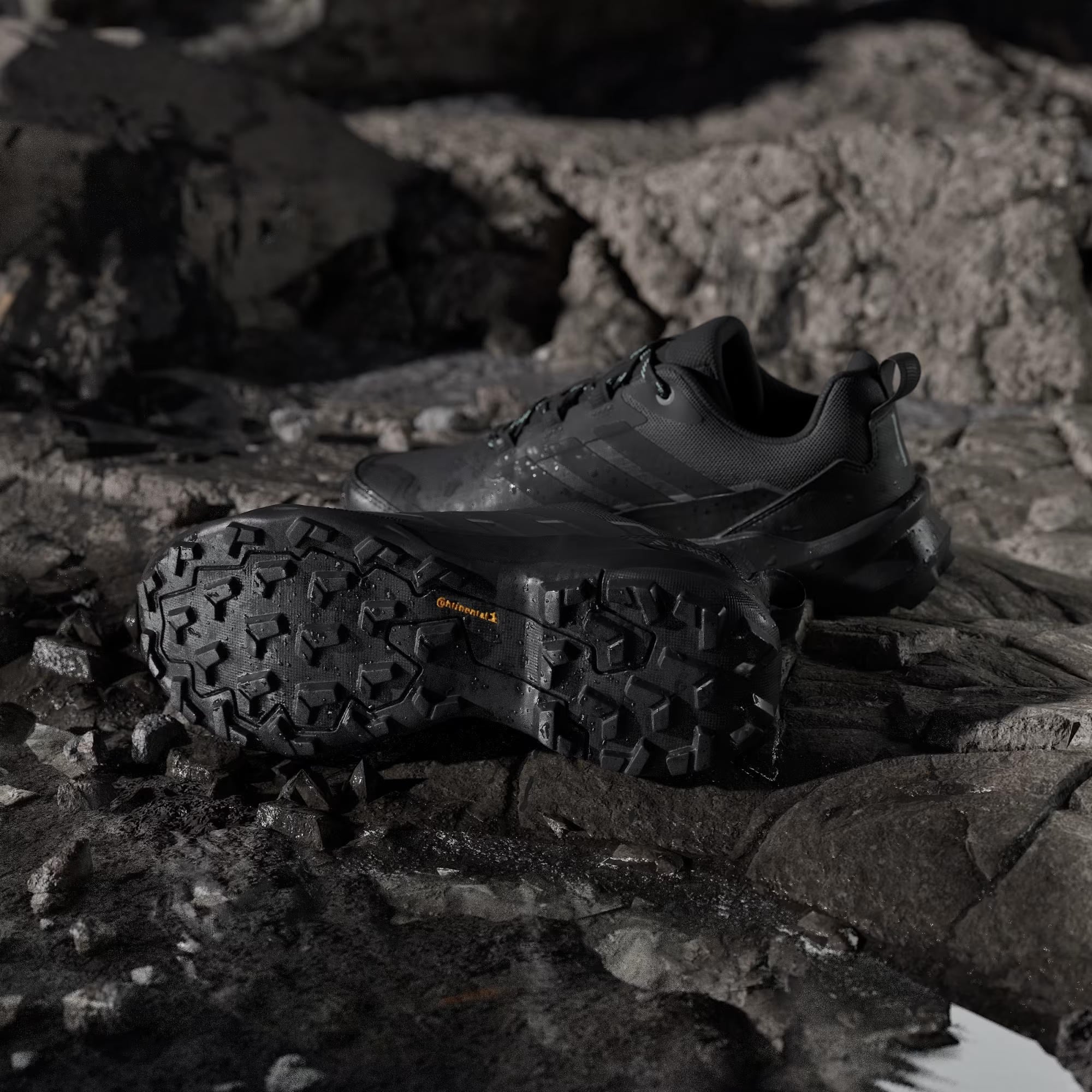 adidas Terrex Skychaser AX5 Gore-Tex Kadın Outdoor Ayakkabı