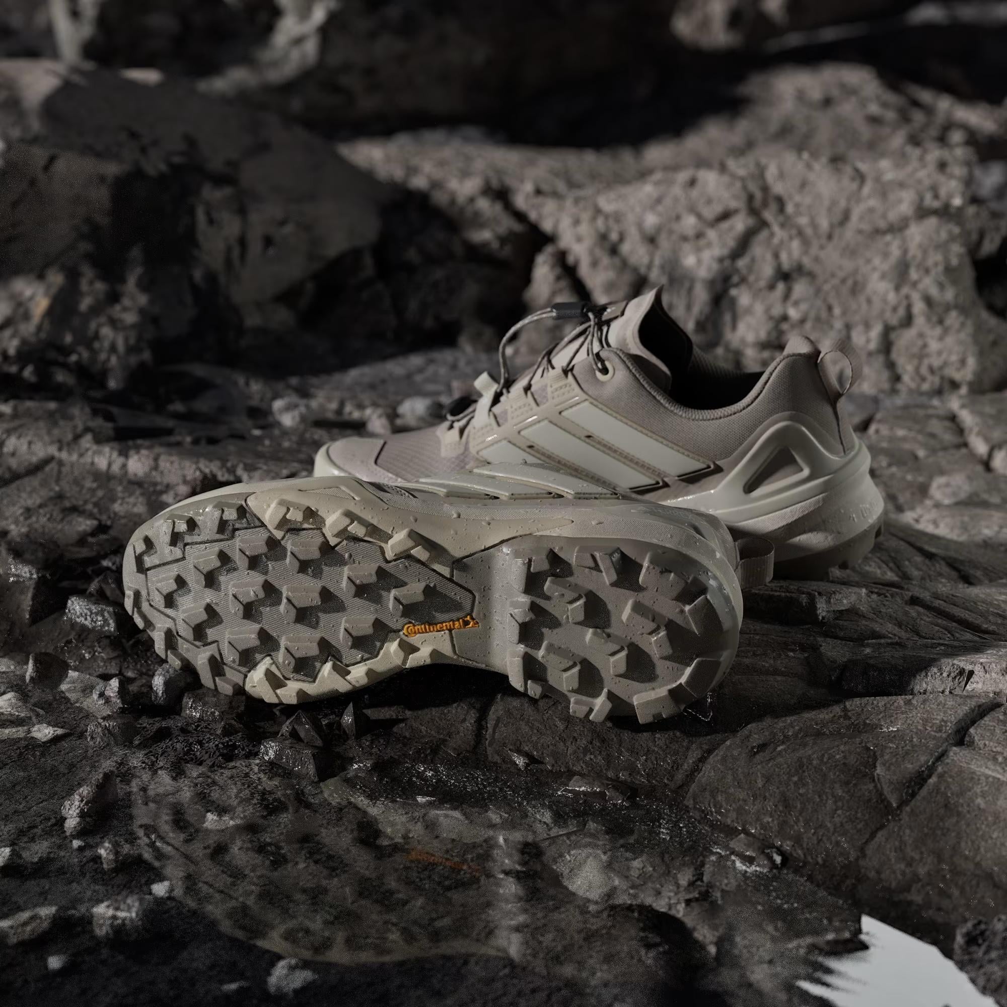 adidas Terrex Skychaser Gore Tex Erkek Outdoor Ayakkabı