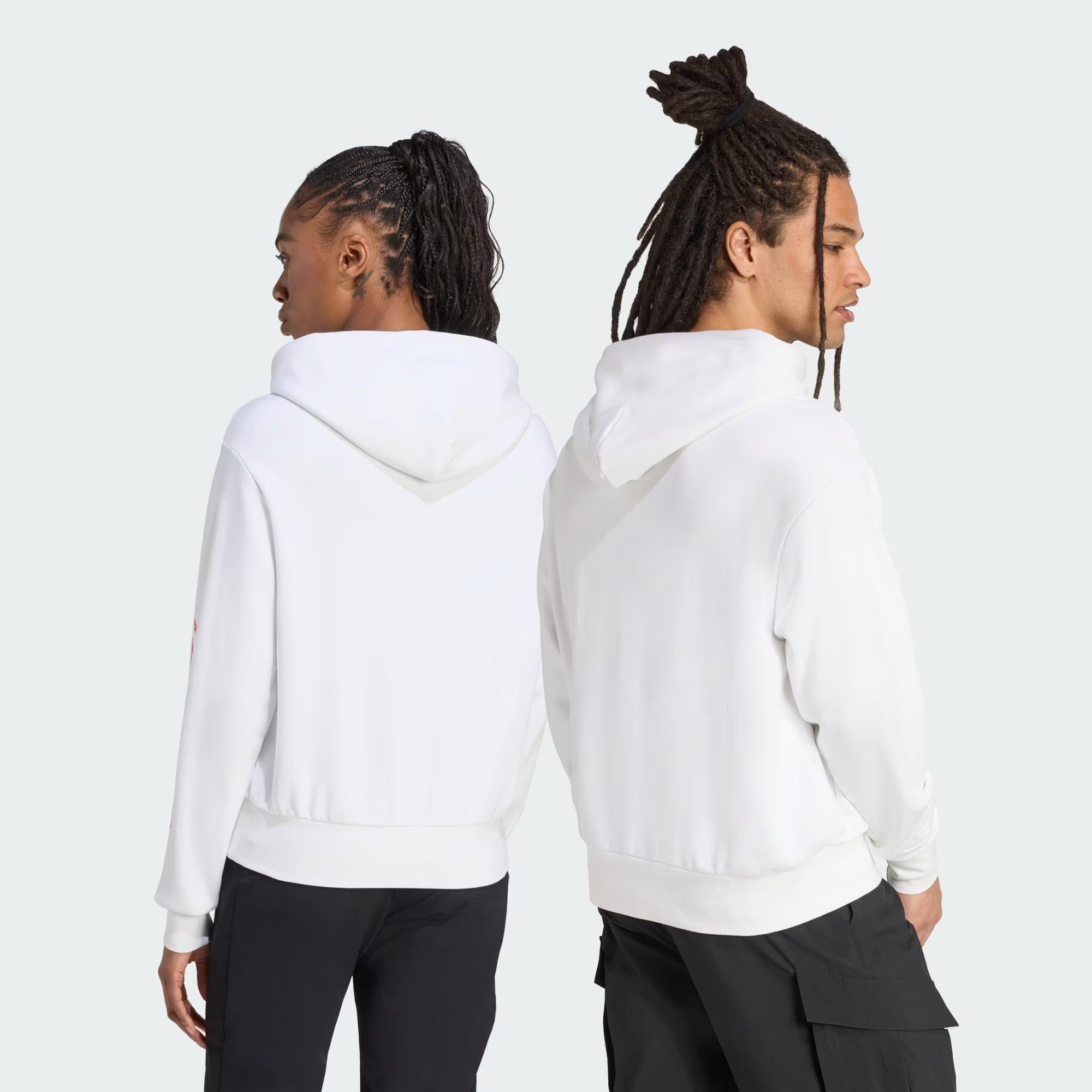 adidas Terrex Snow Adventure Graphic Erkek Sweatshirt