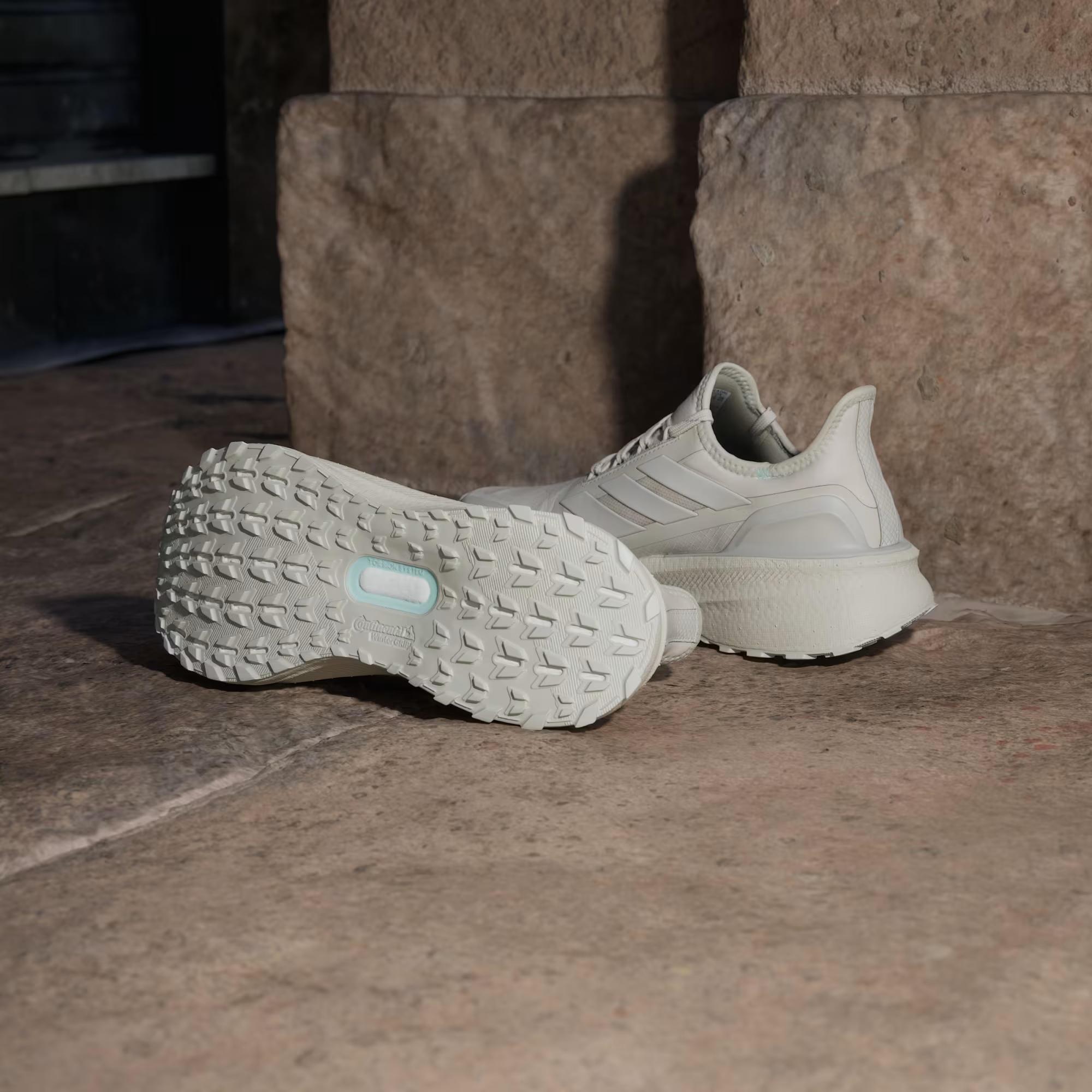 adidas Ultraboost 5 GTX Kadın Koşu Ayakkabısı