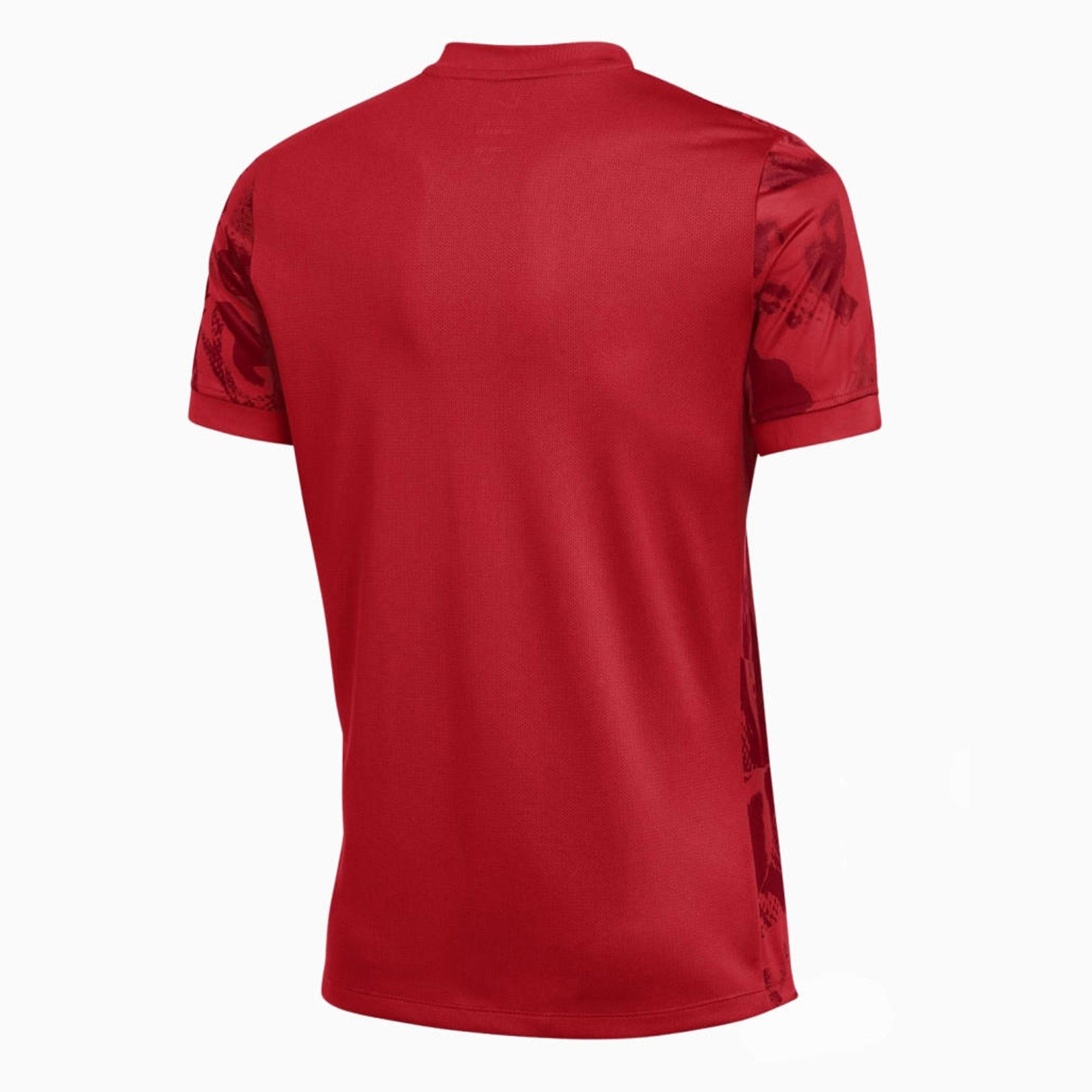Nike Dri-FIT Precision VII Erkek Tişört