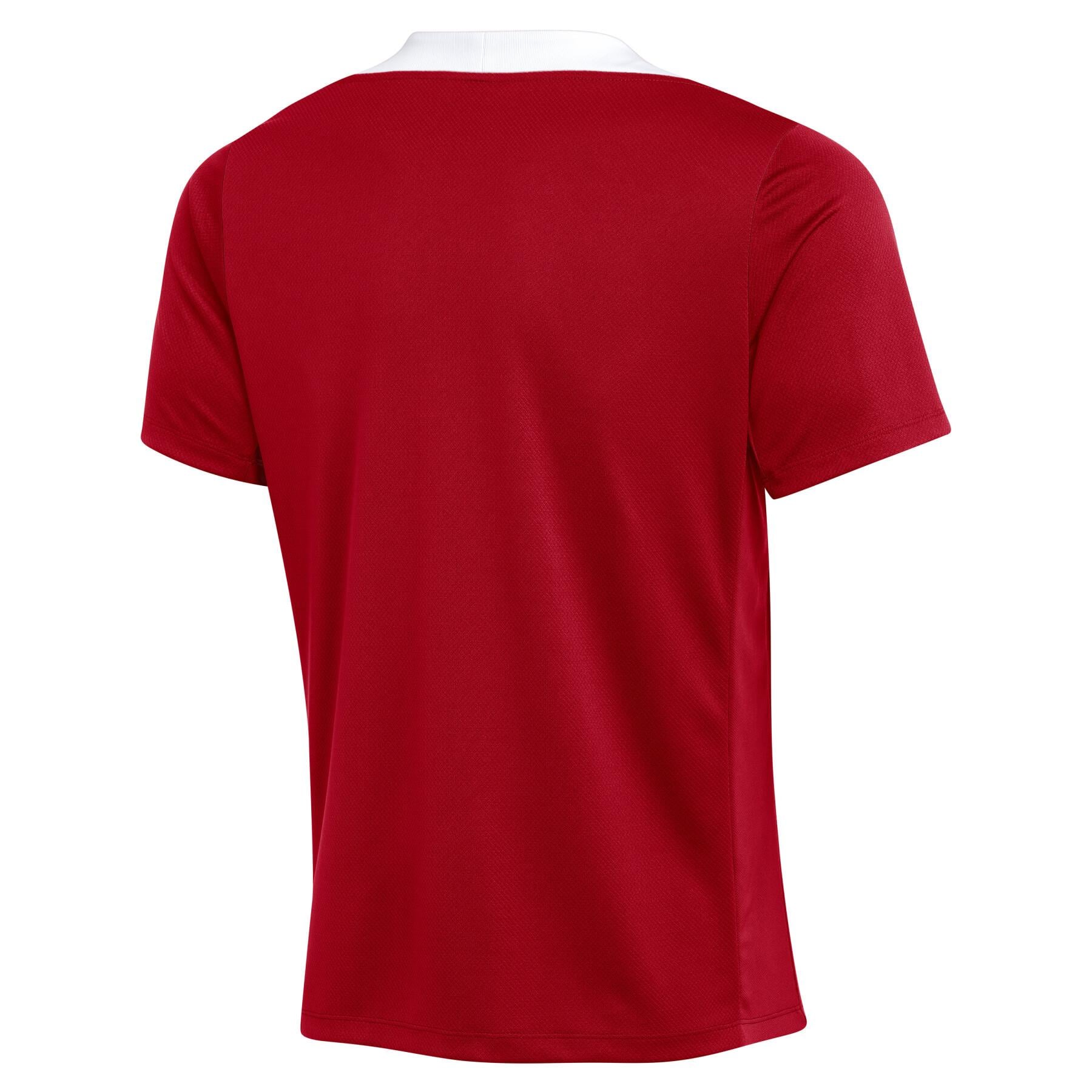 Nike Dri-FIT Strike 24 Erkek Tişört