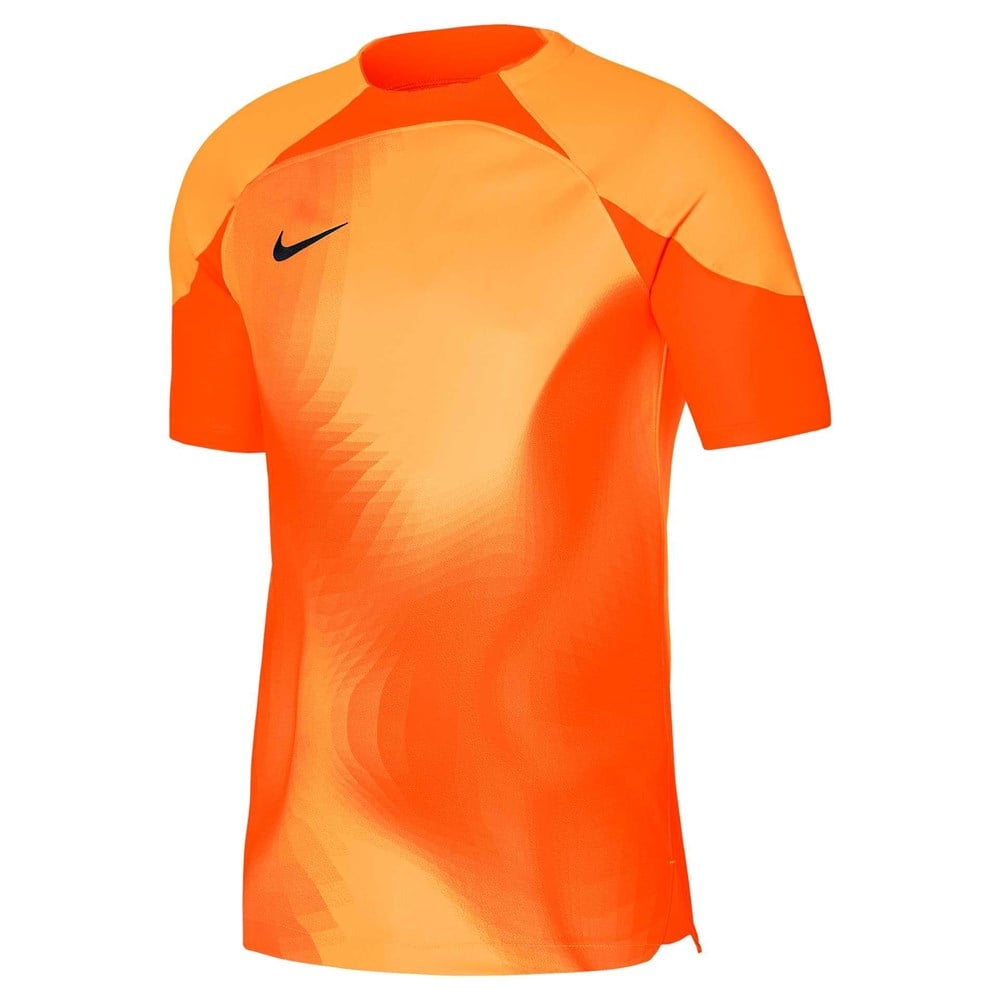 Nike Gardien IV Kaleci Erkek Forma