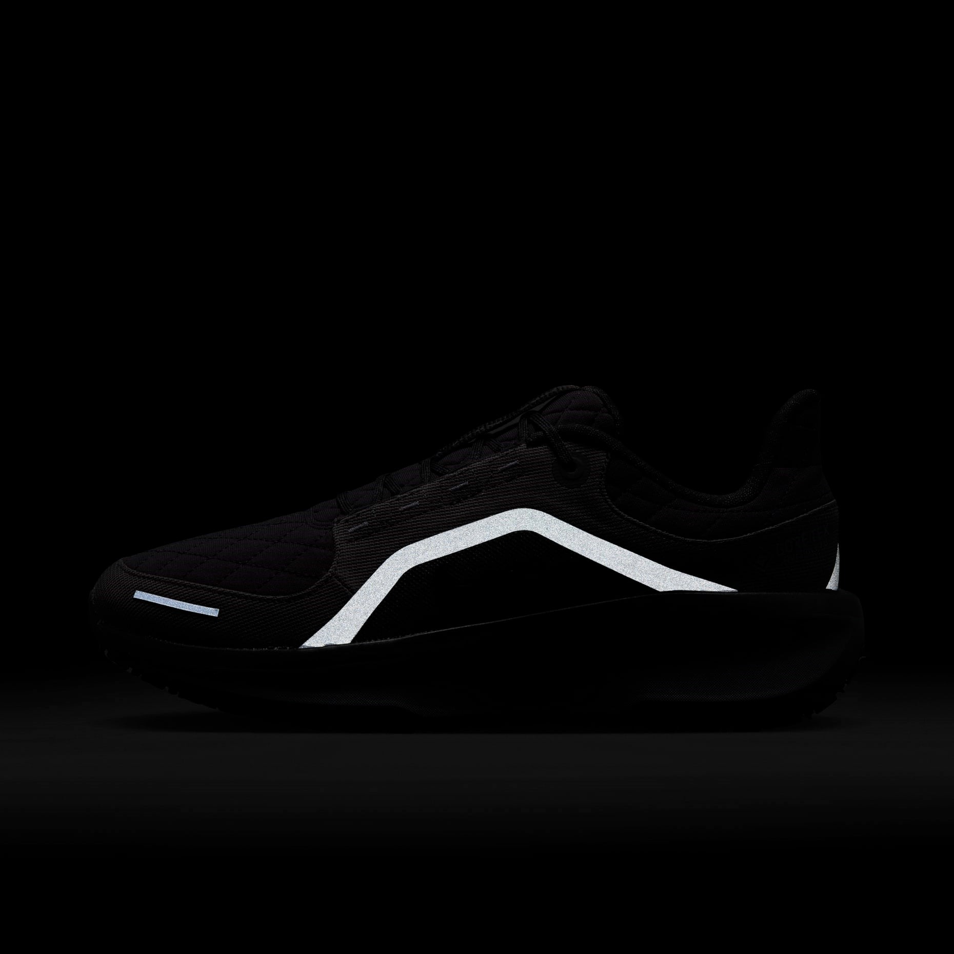 Nike Winflo 11 GORE-TEX Erkek Koşu Ayakkabısı