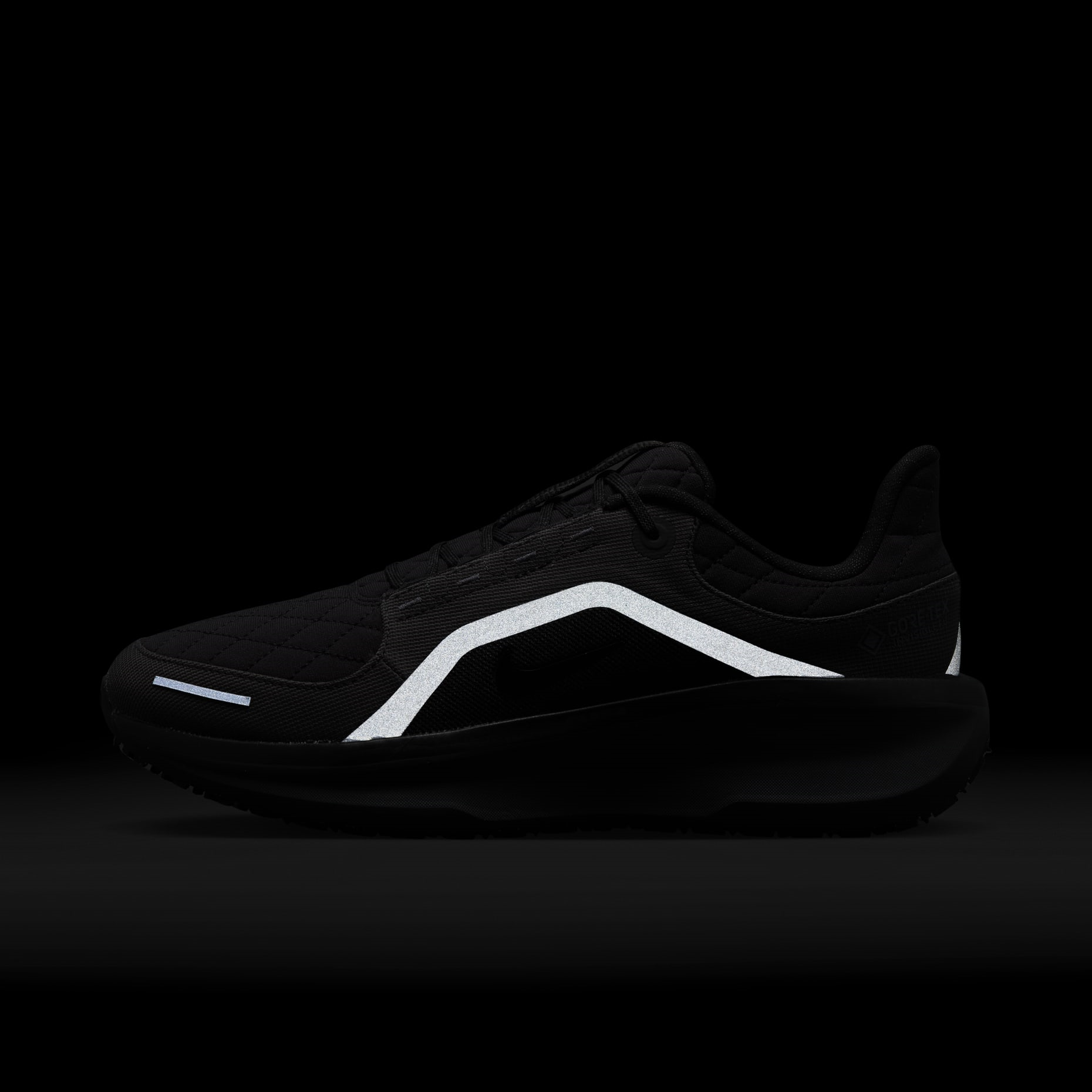 Nike Winflo 11 GORE-TEX Erkek Koşu Ayakkabısı