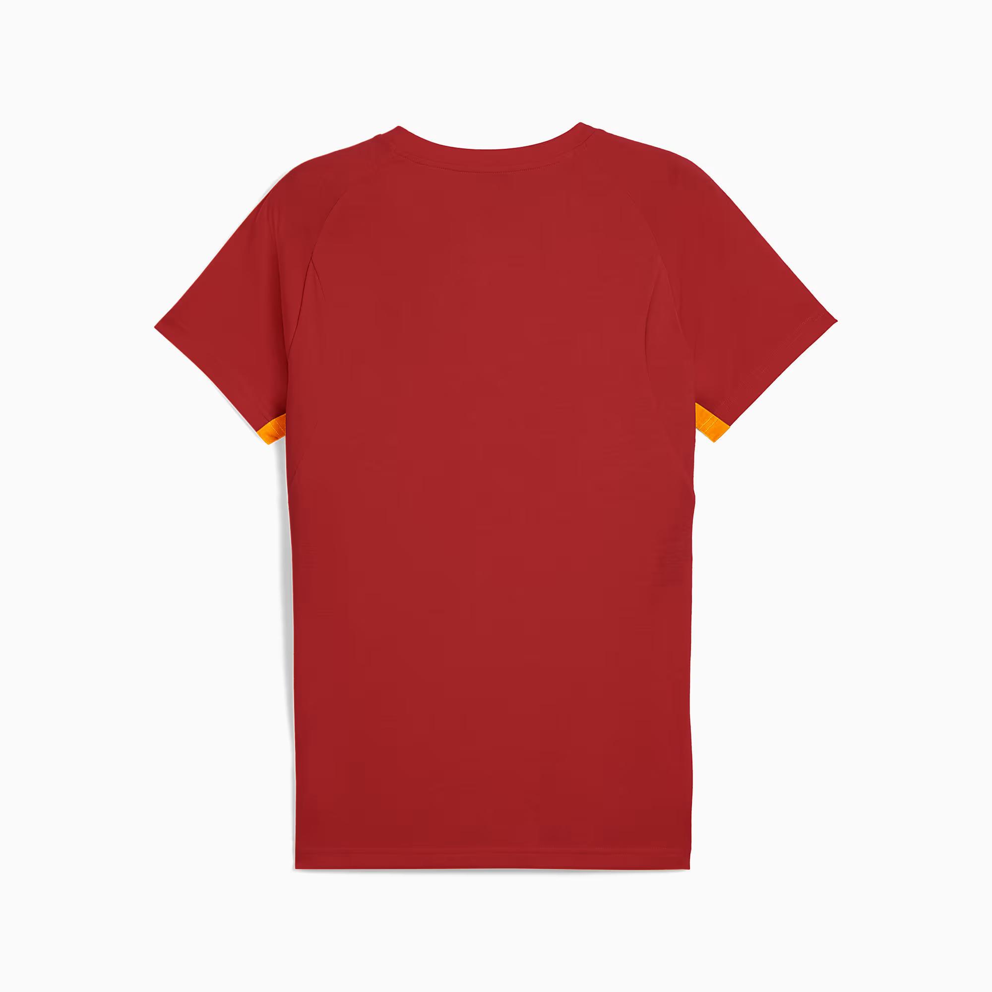 Puma Galatasaray Evostripe Erkek Tişört