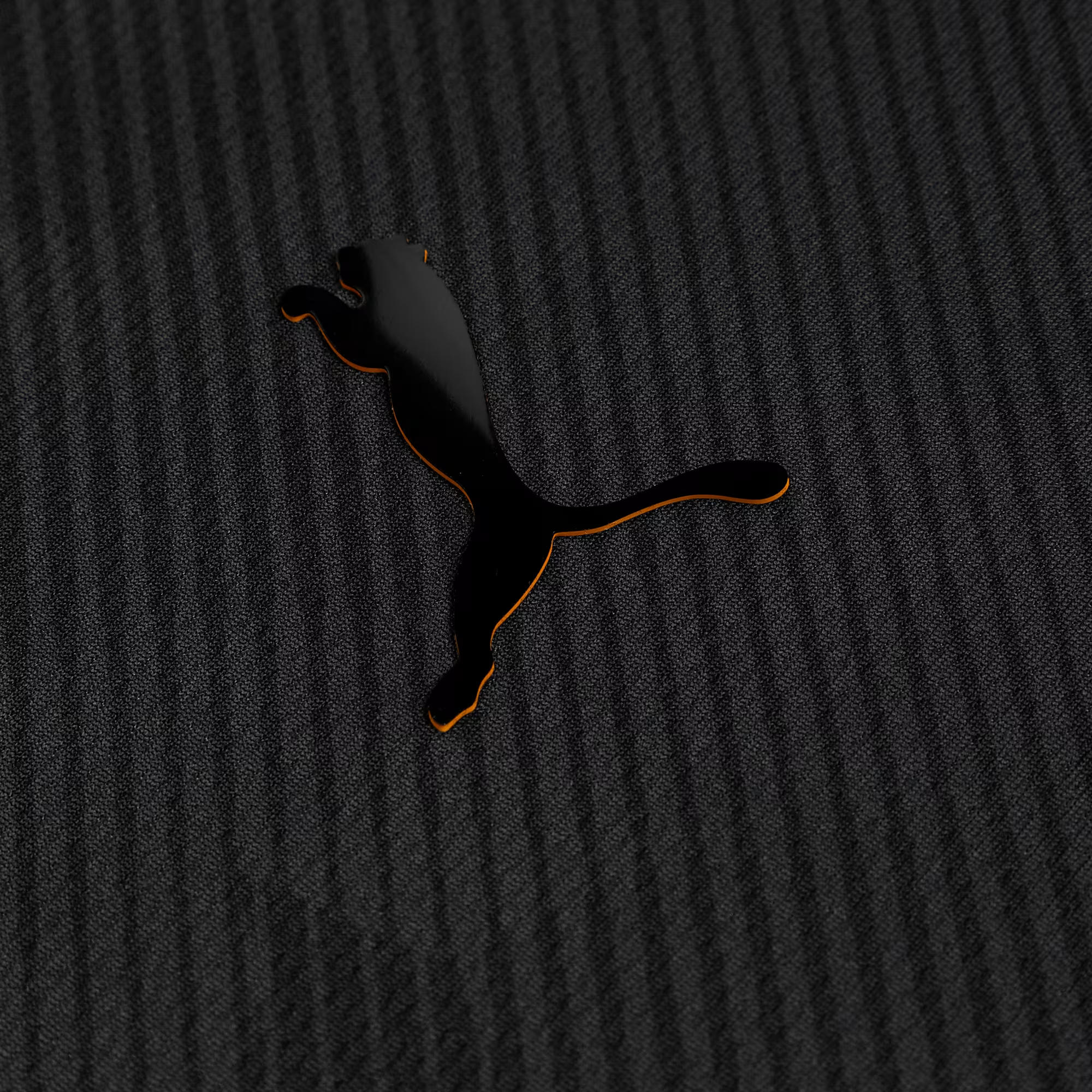 Puma Galatasaray S.K. 24/25 Erkek Forma