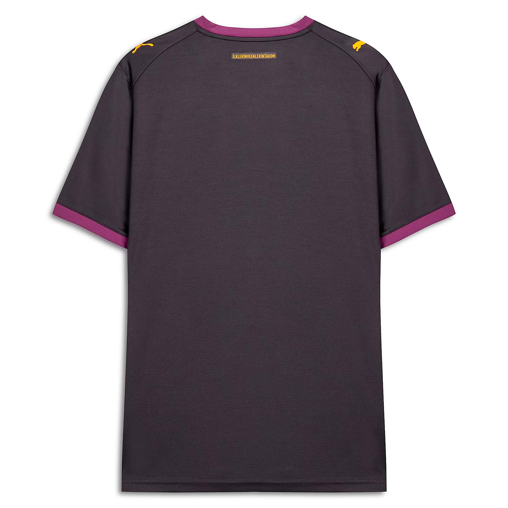 Puma Galatasaray S.K. 26/27 Erkek Forma