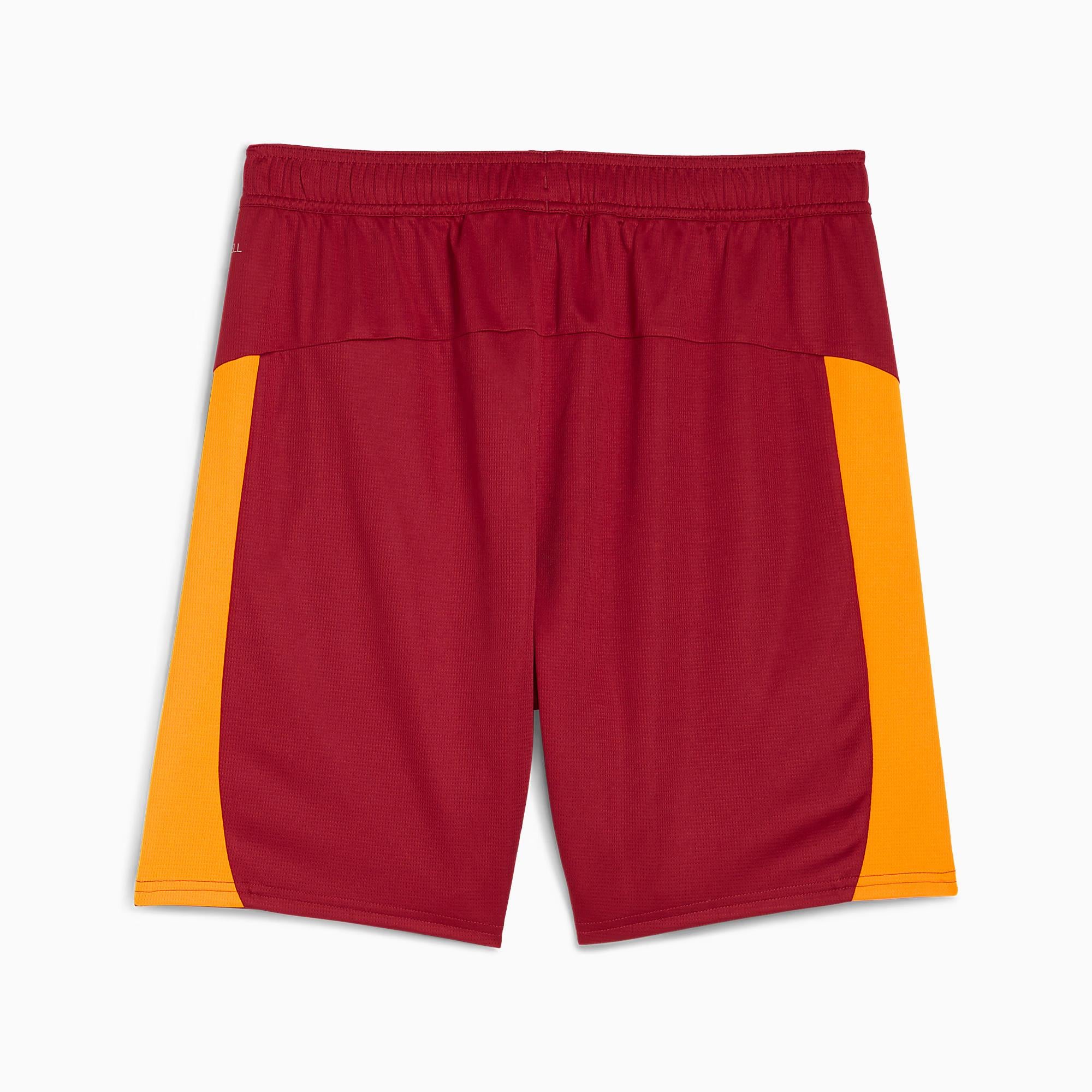 Puma Galatasaray S.K. Erkek Şort