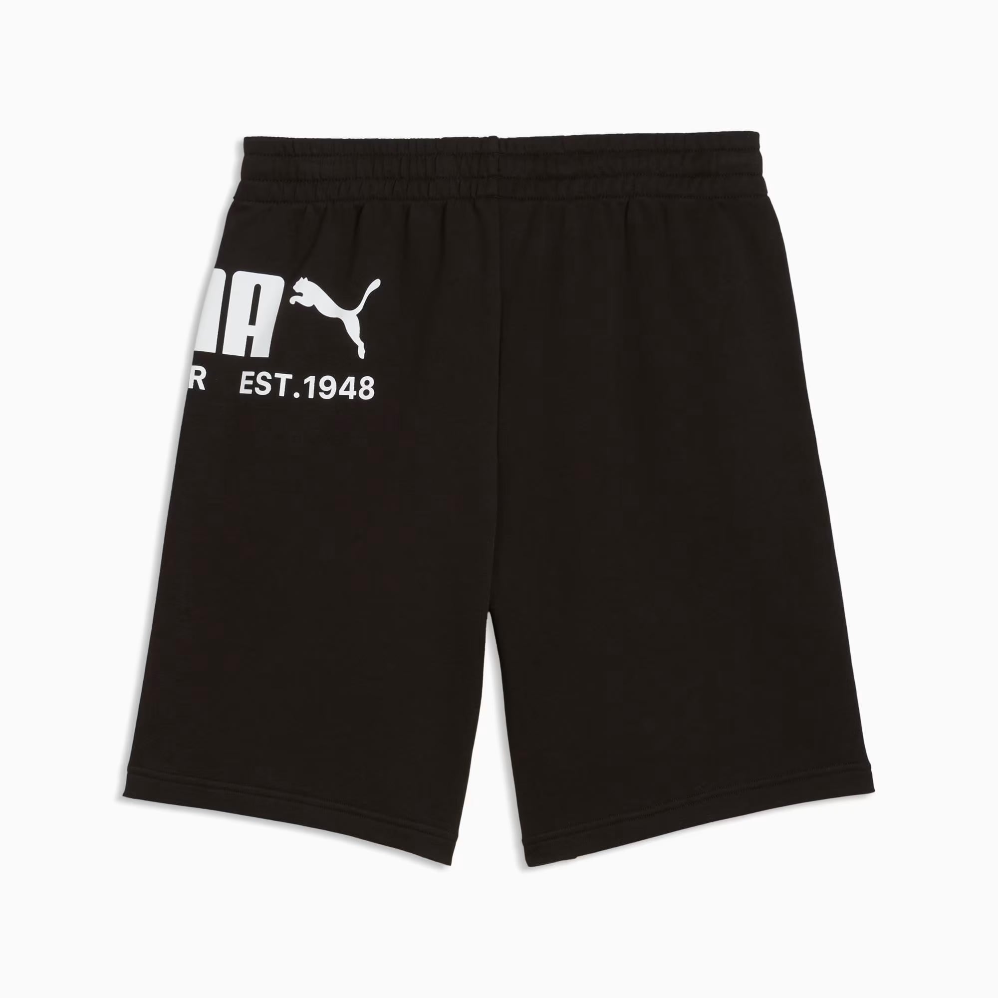 Puma Sport Graphic Erkek Şort