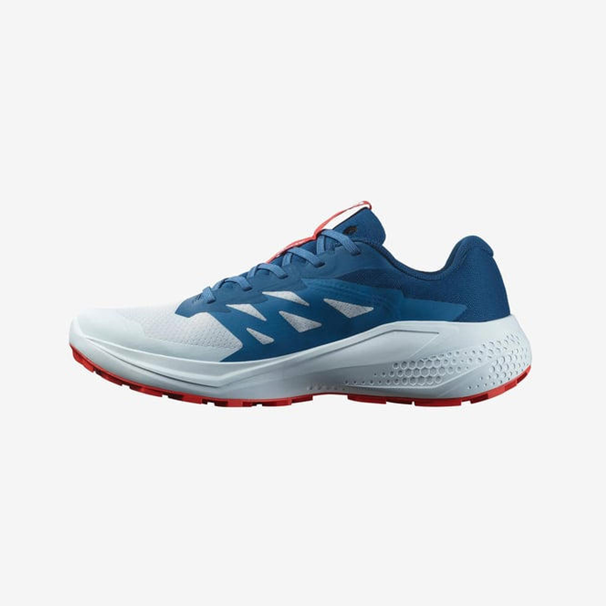 Salomon Alphaglide Erkek Koşu Ayakkabısı