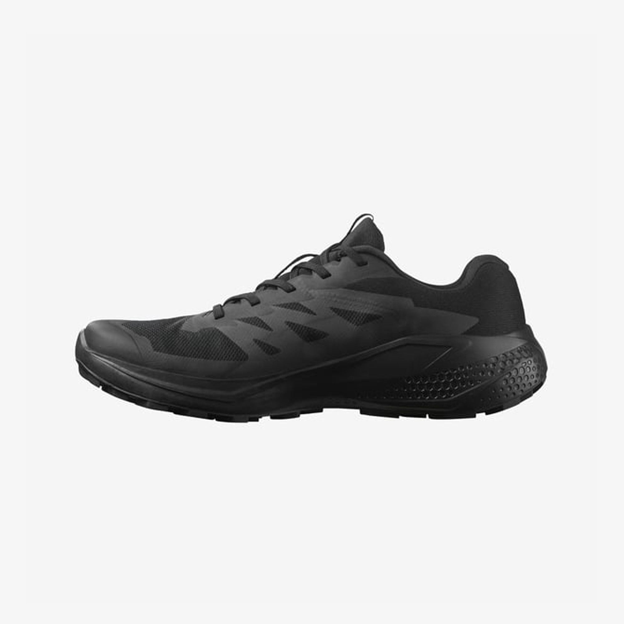 Salomon Alphaglide Gore-Tex Erkek Koşu Ayakkabısı