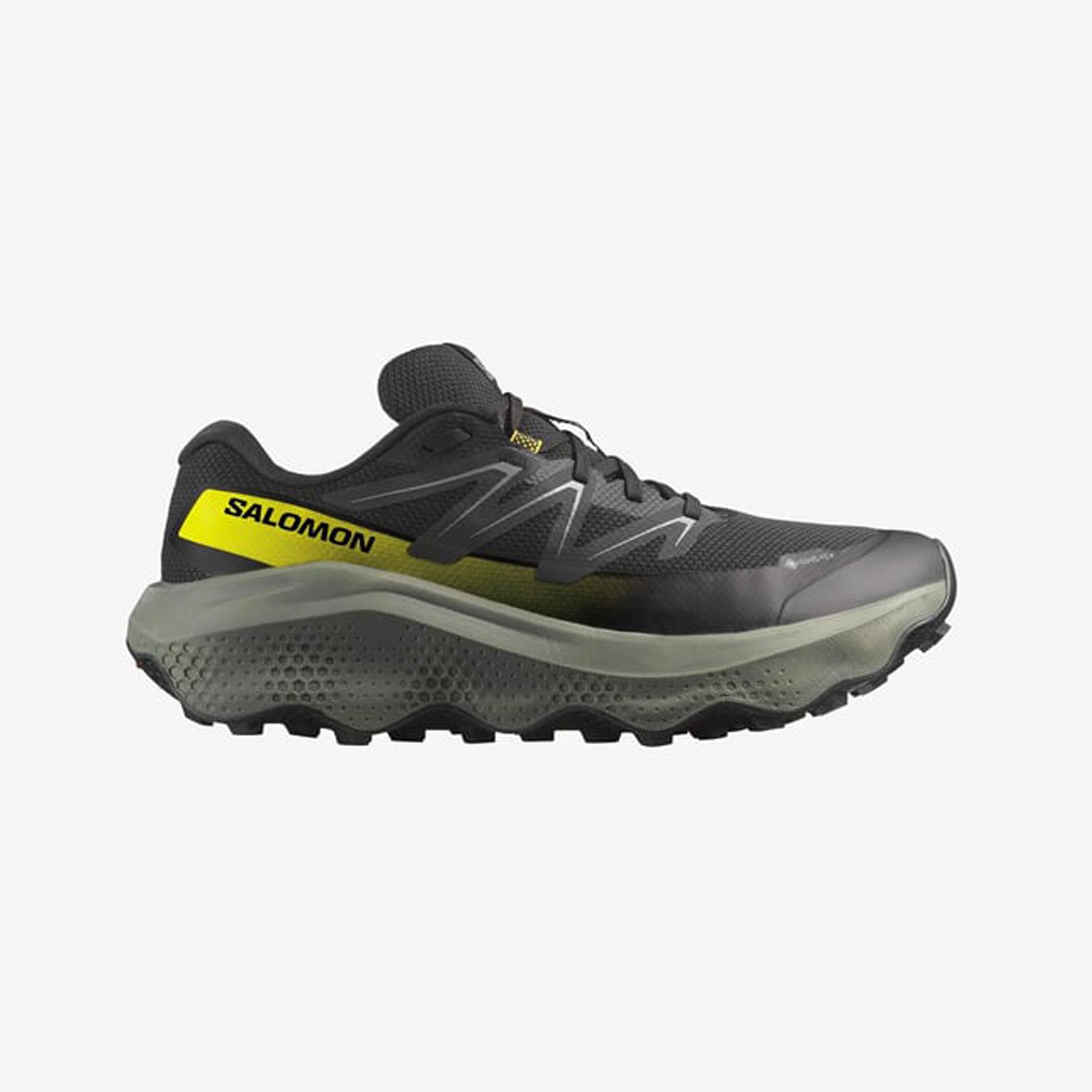 Salomon Ultra Flow 2 Gore-Tex Erkek Koşu Ayakkabısı