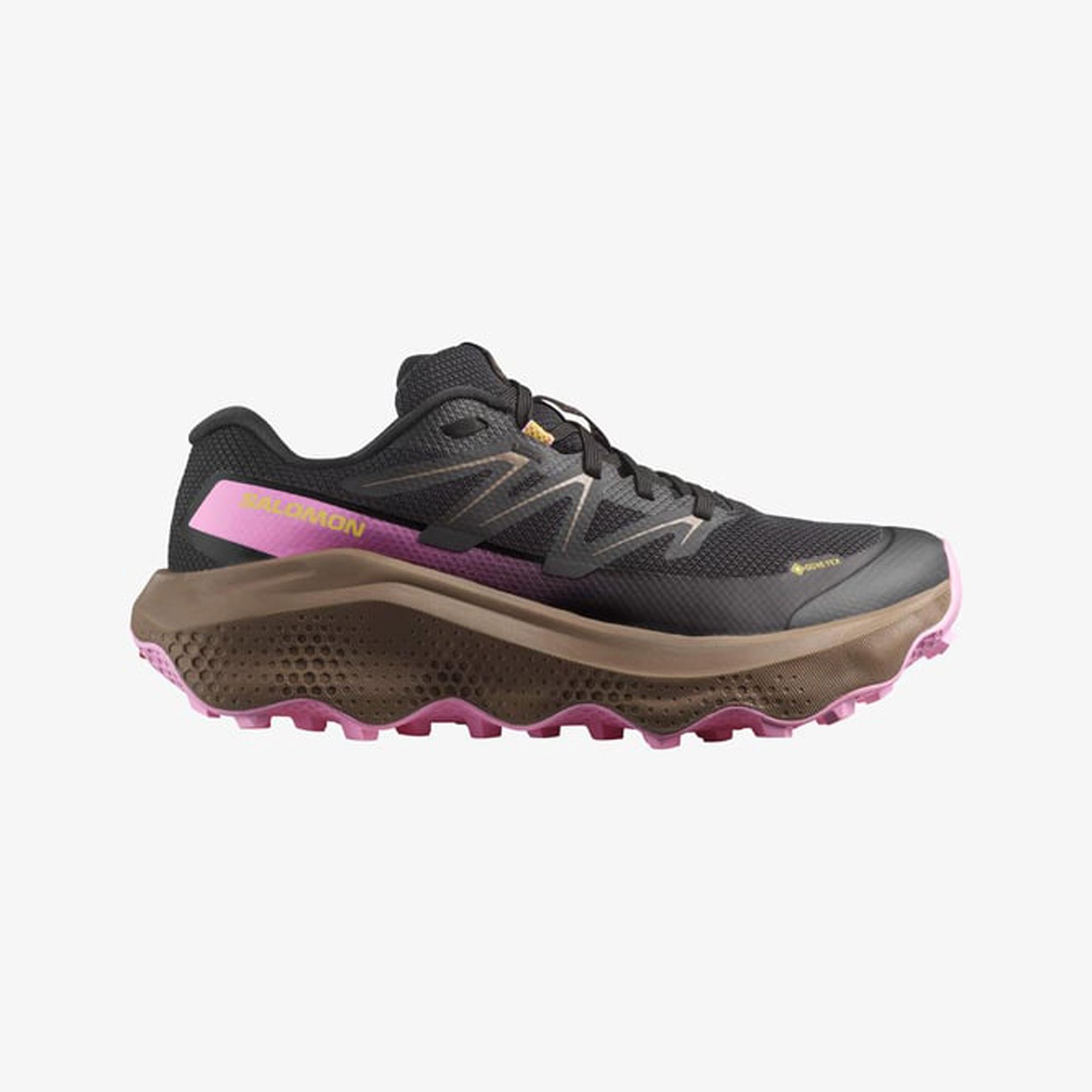 Salomon Ultra Flow 2 Gore-Tex Kadın Koşu Ayakkabısı