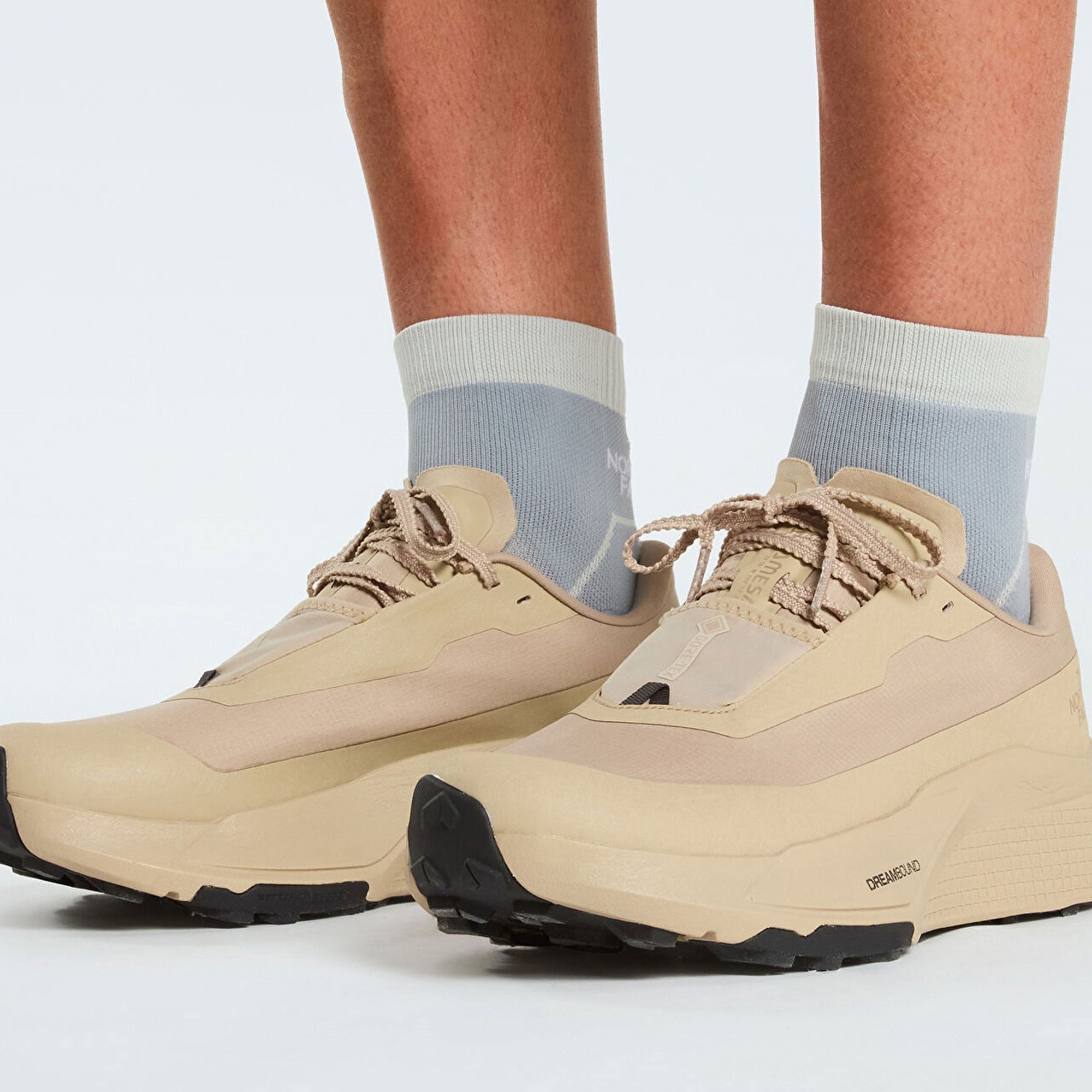 The North Face Altamesa 500 V2 Gore Tex Erkek Koşu Ayakkabısı