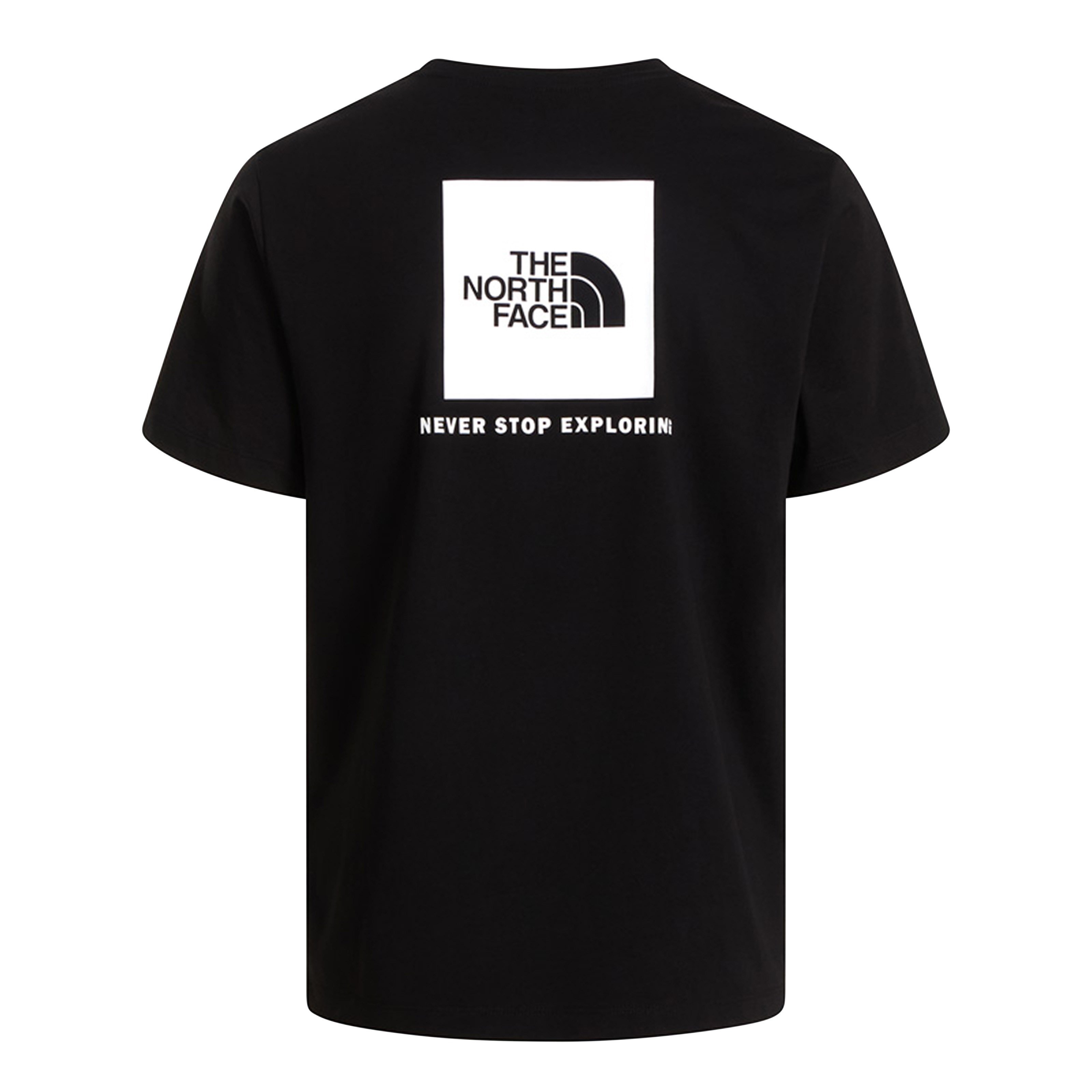 The North Face Evolution Box Nse Regular SS Erkek Tişört
