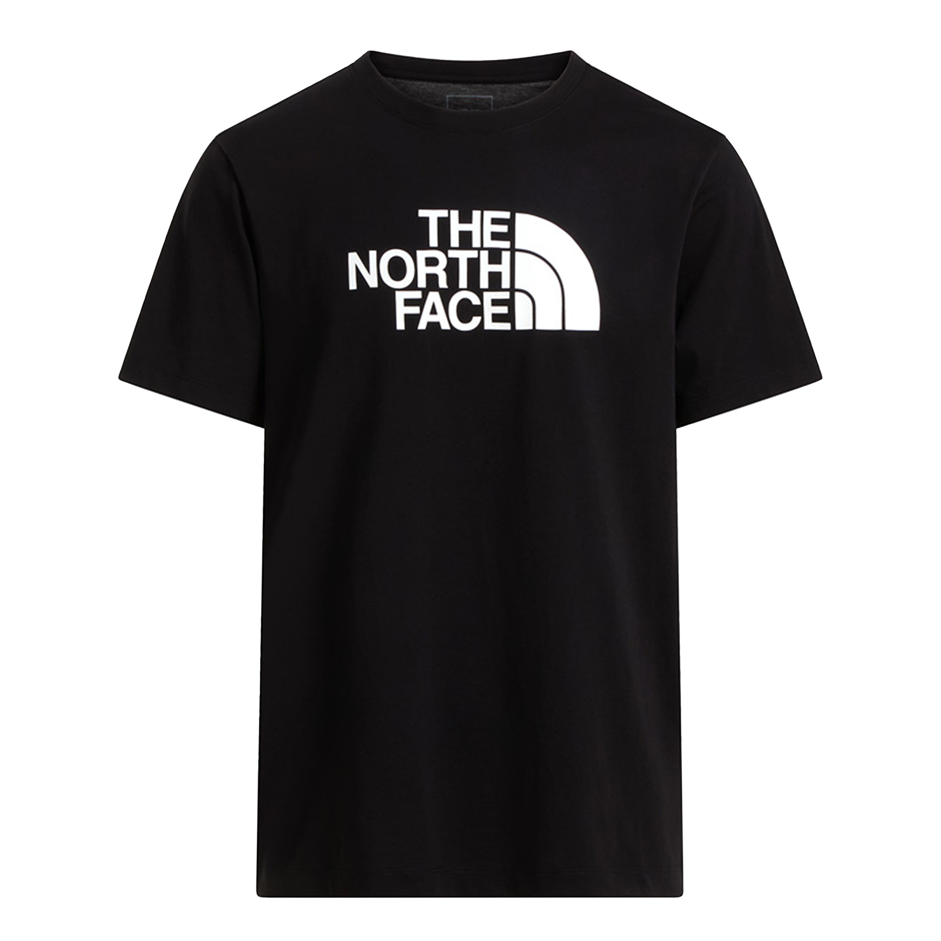 The North Face Evolution Half Dome Regular SS Erkek Tişört
