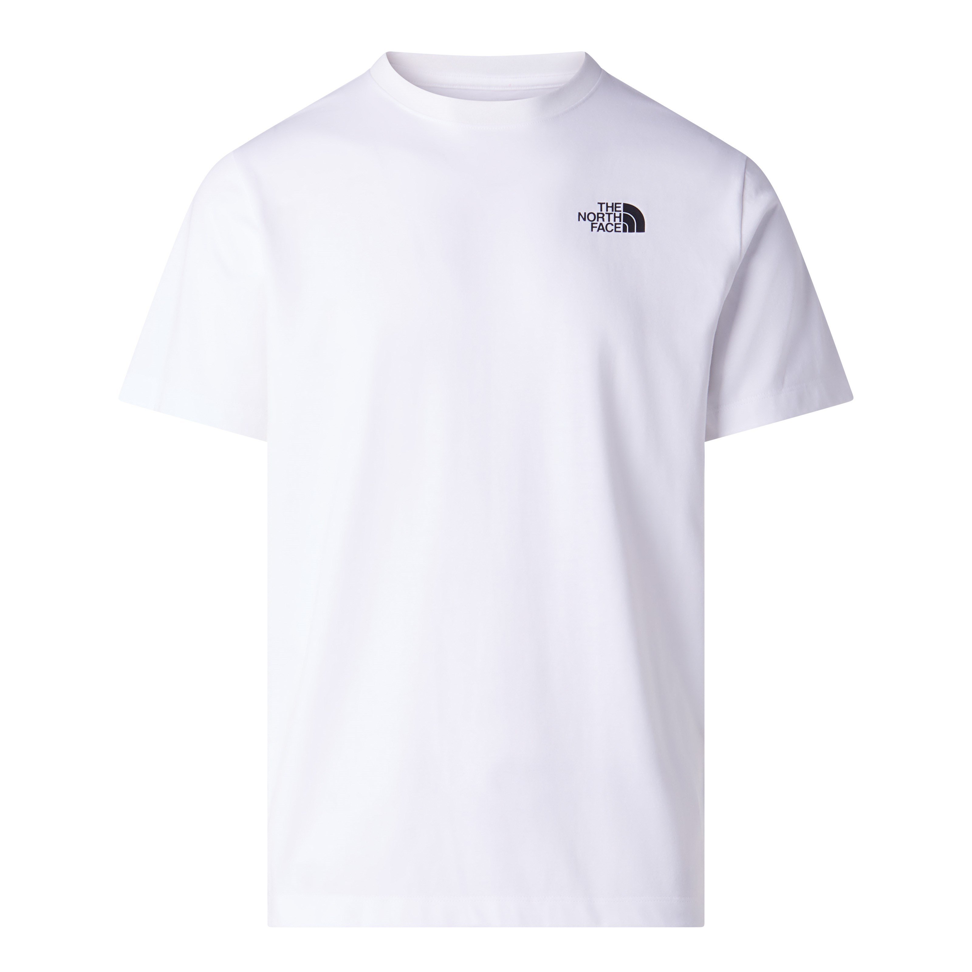 The North Face Nse Celebration Reg SS Erkek Tişört