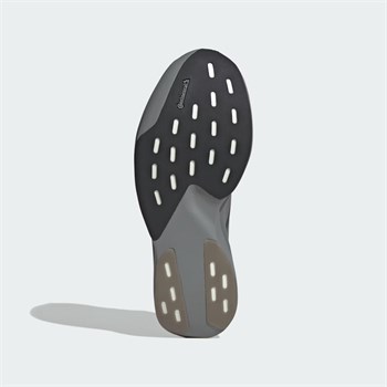 adidas Adizero Evo SL Exo Erkek Koşu Ayakkabısı