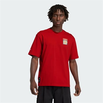 adidas Archive Country Flag Erkek Tişört
