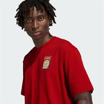 adidas Archive Country Flag Erkek Tişört