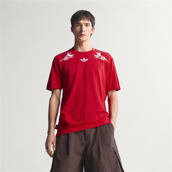 adidas Arsenal FC Places Faces Erkek Tişört