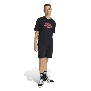 adidas Collegiate Logo Erkek Tişört