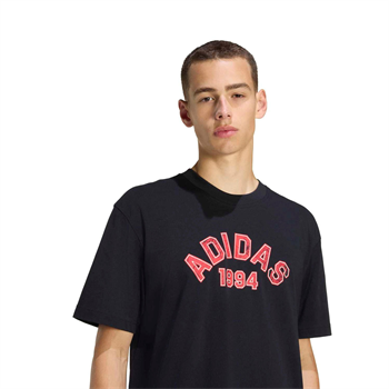 adidas Collegiate Logo Erkek Tişört