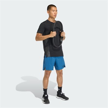 adidas Designed For Training Erkek Şort