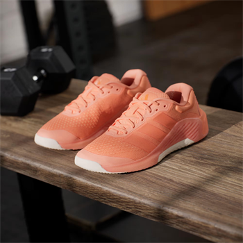 adidas Dropset 4 Power Kadın Antrenman Ayakkabısı